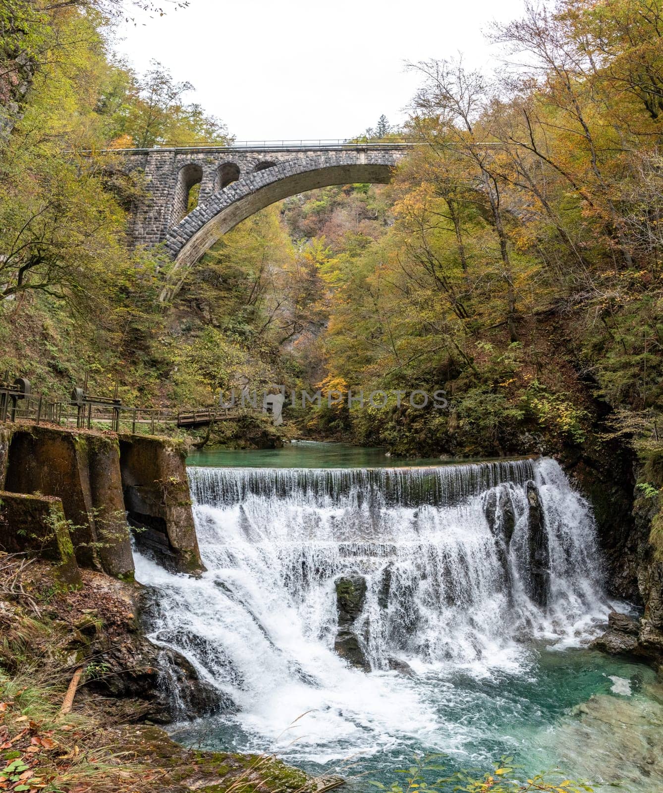 Scenic wild river flowing through the Vintgar gorge, Slovenia