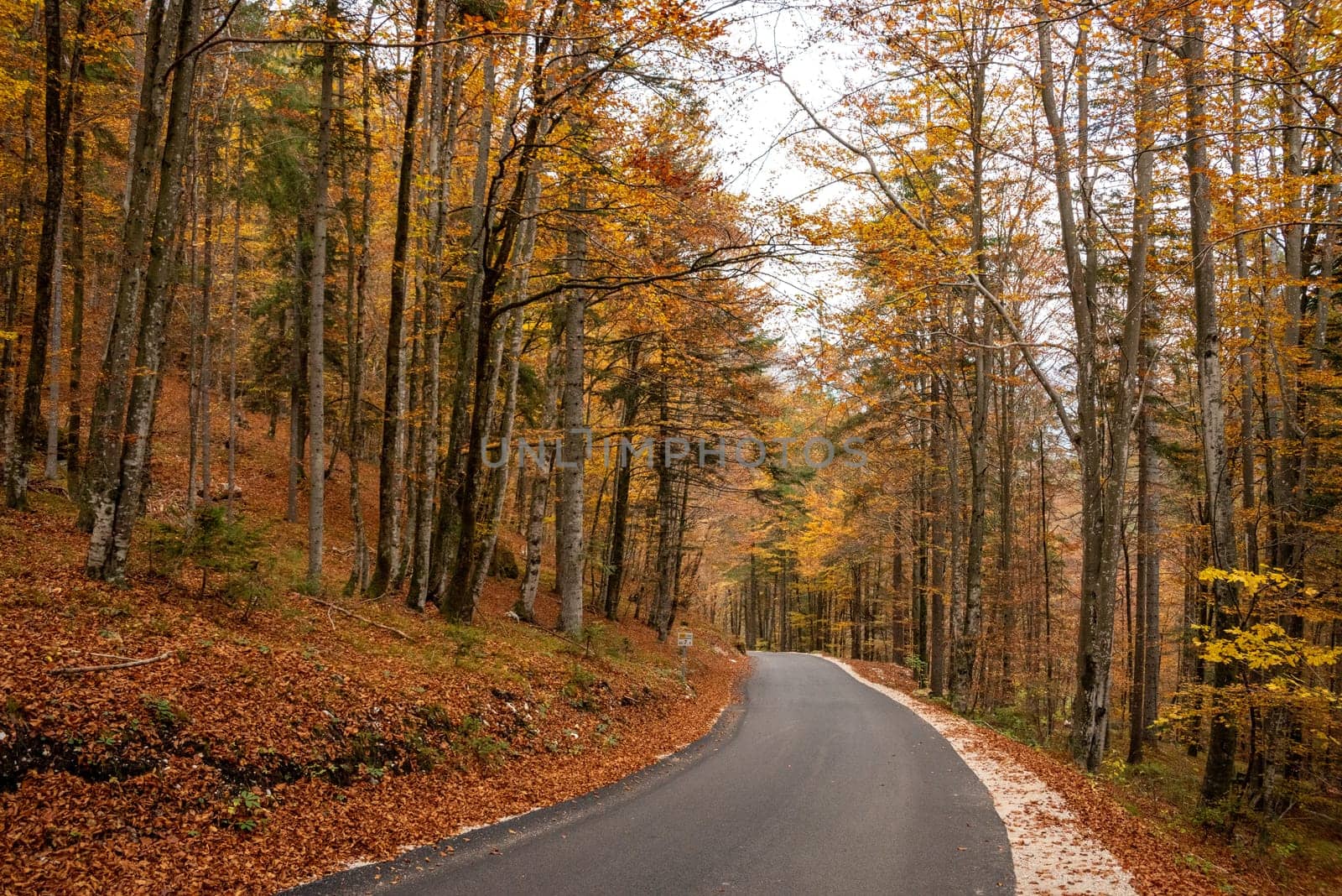 Hiking through the Vrata valley in autumn, Triglav National Park in the Julian Alps, Slovenia