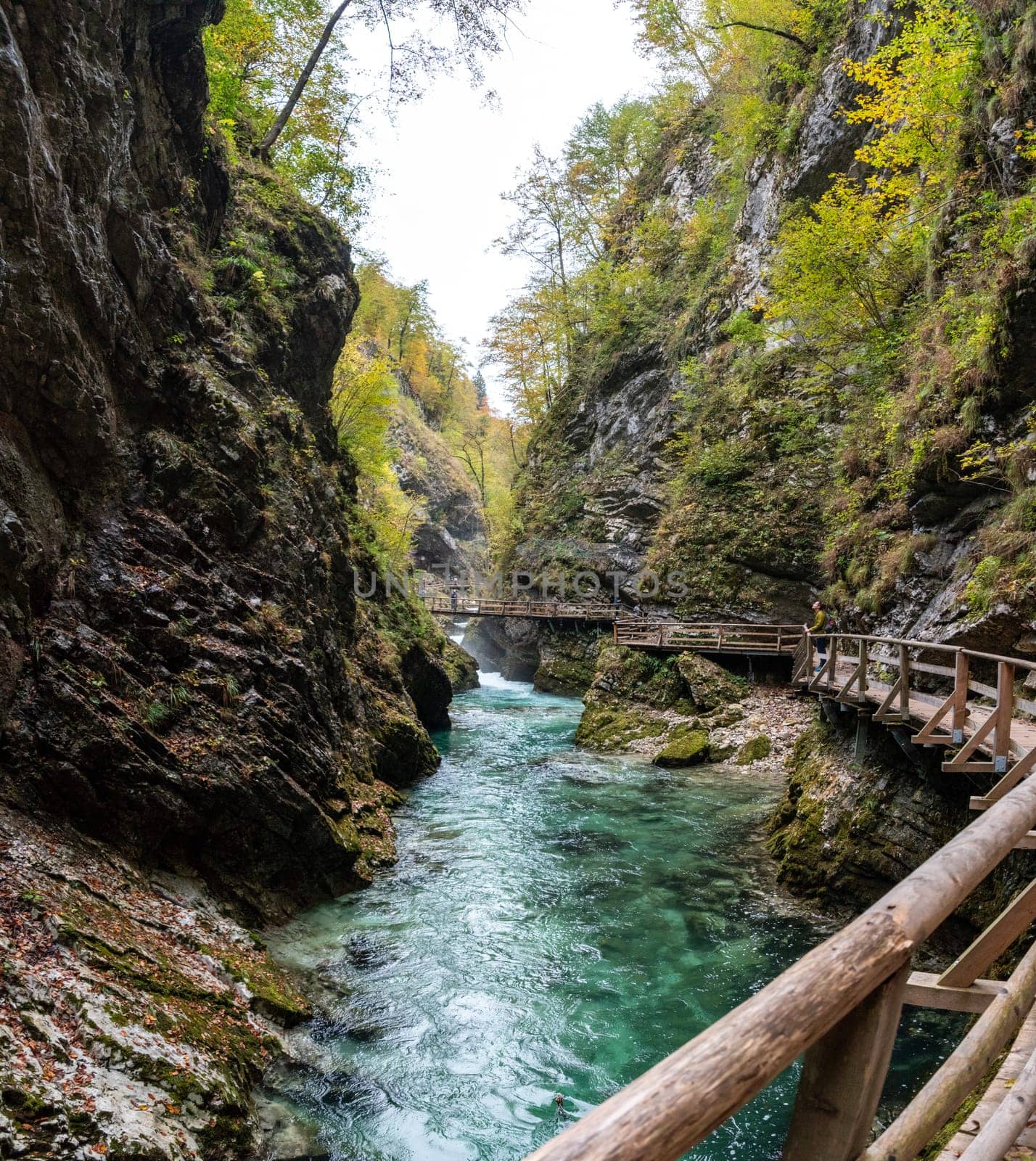 Scenic wild river flowing through the Vintgar gorge, Slovenia