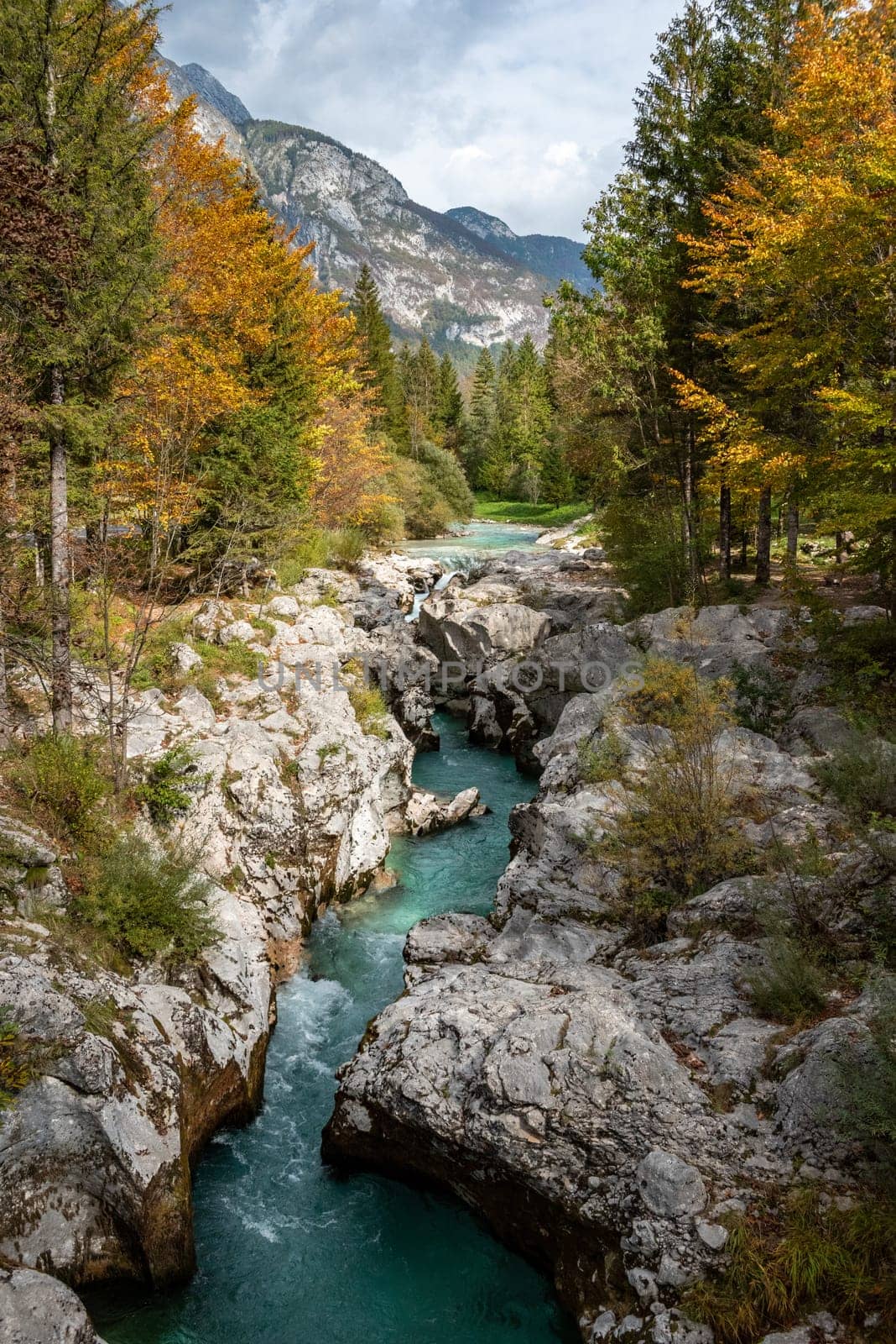 The Soca river flowing through a wild mountain landscape of the Julian Alps, Slovenia