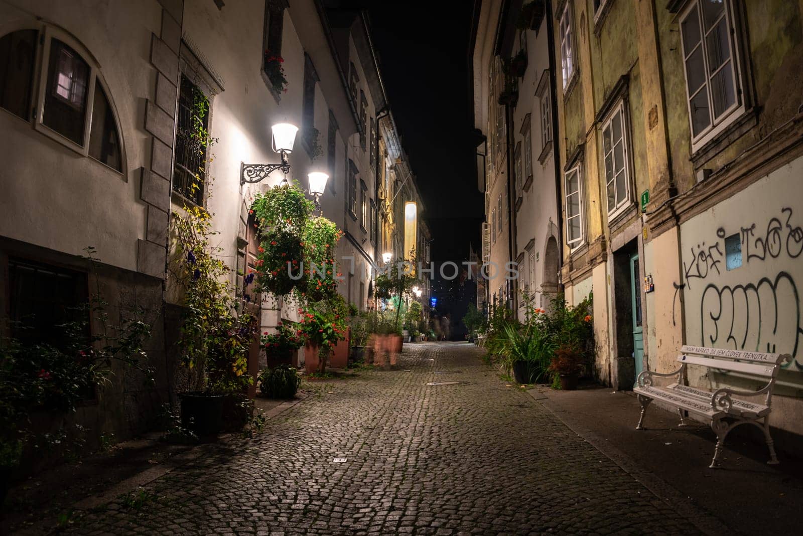 Scenic little Krizevniska alley in Ljubljana illuminated at night, arranged with plants at the sides, Slovenia