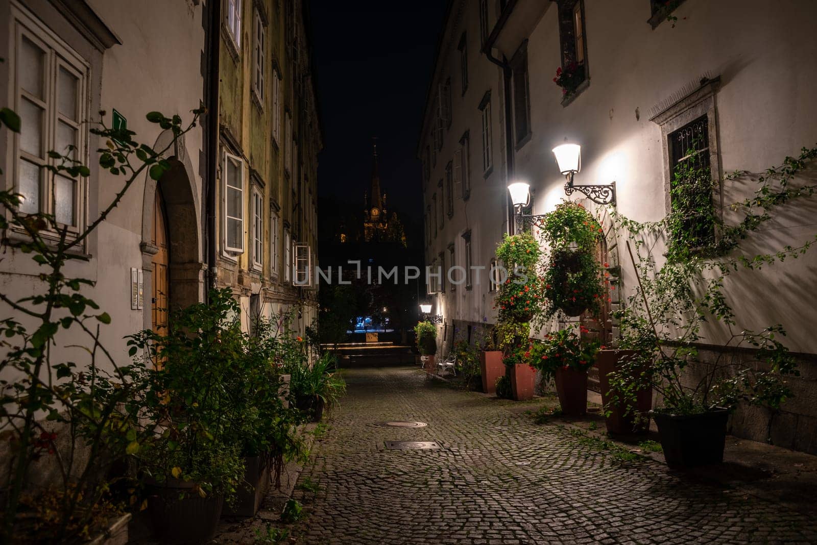 Scenic little Krizevniska alley in Ljubljana illuminated at night, arranged with plants at the sides, Slovenia