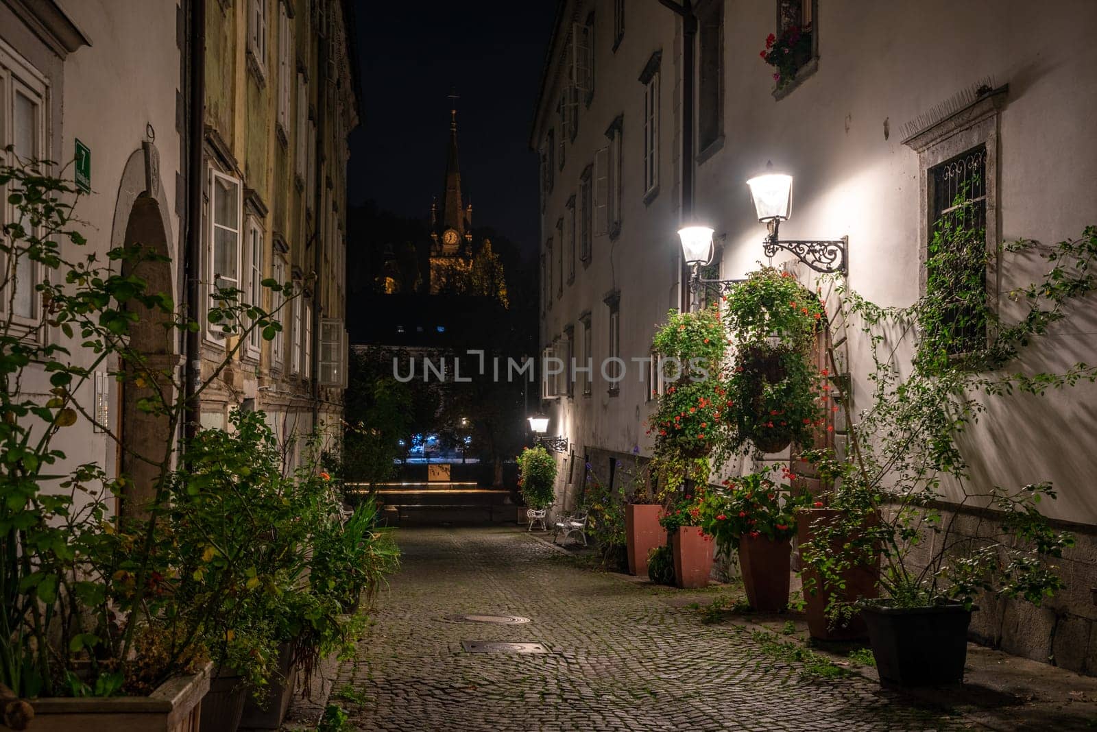 Scenic little Krizevniska alley in Ljubljana illuminated at night, arranged with plants at the sides, Slovenia