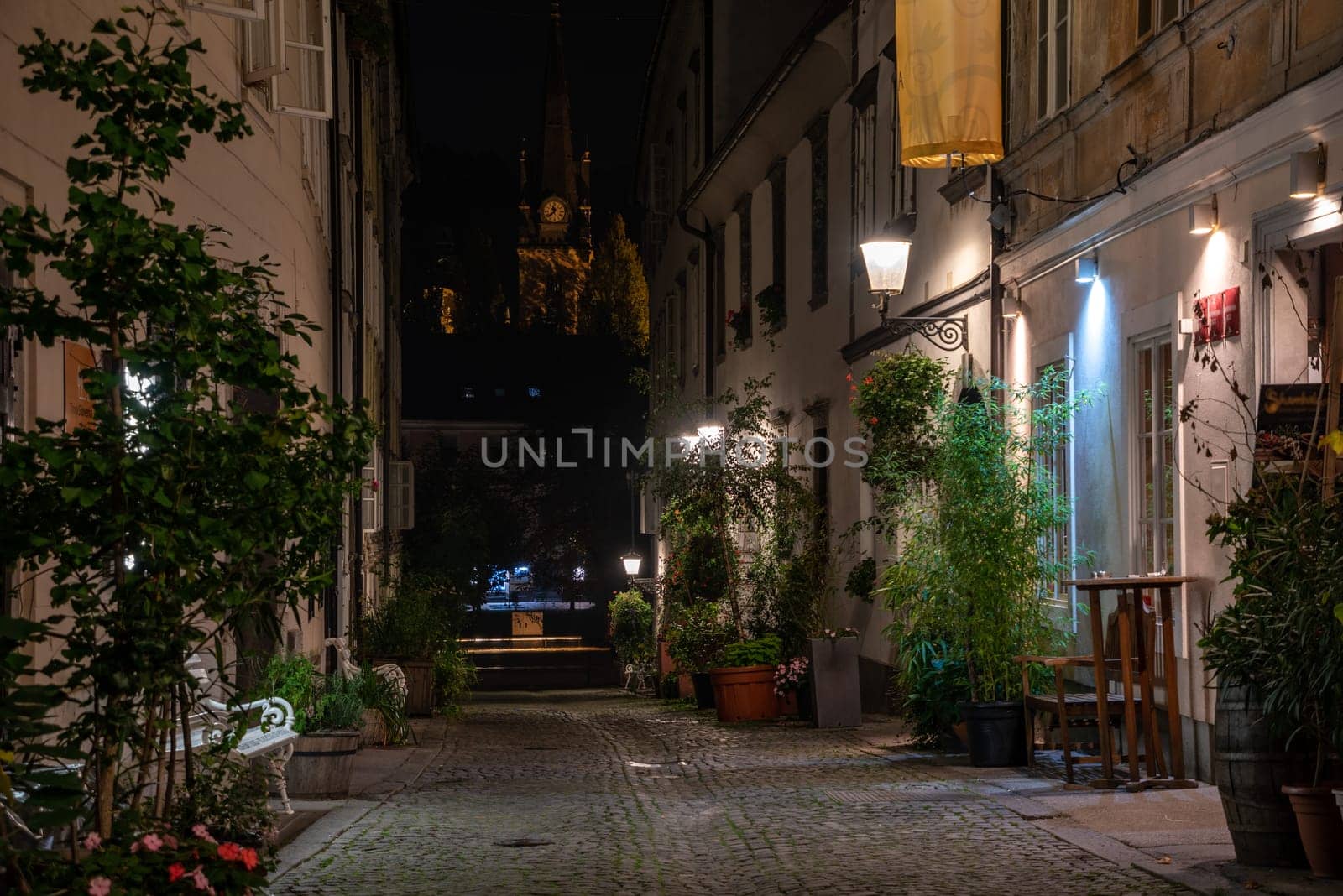 Scenic little Krizevniska alley in Ljubljana illuminated at night, arranged with plants at the sides, Slovenia