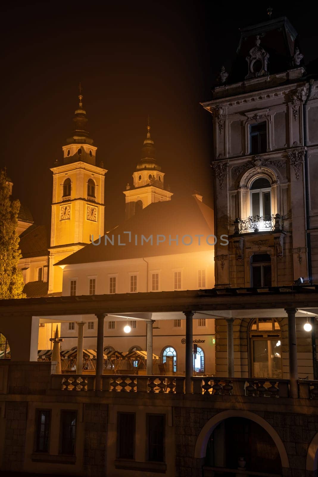 Cathedral St. Nicholas in the center of Ljubljana at night, Slovenia