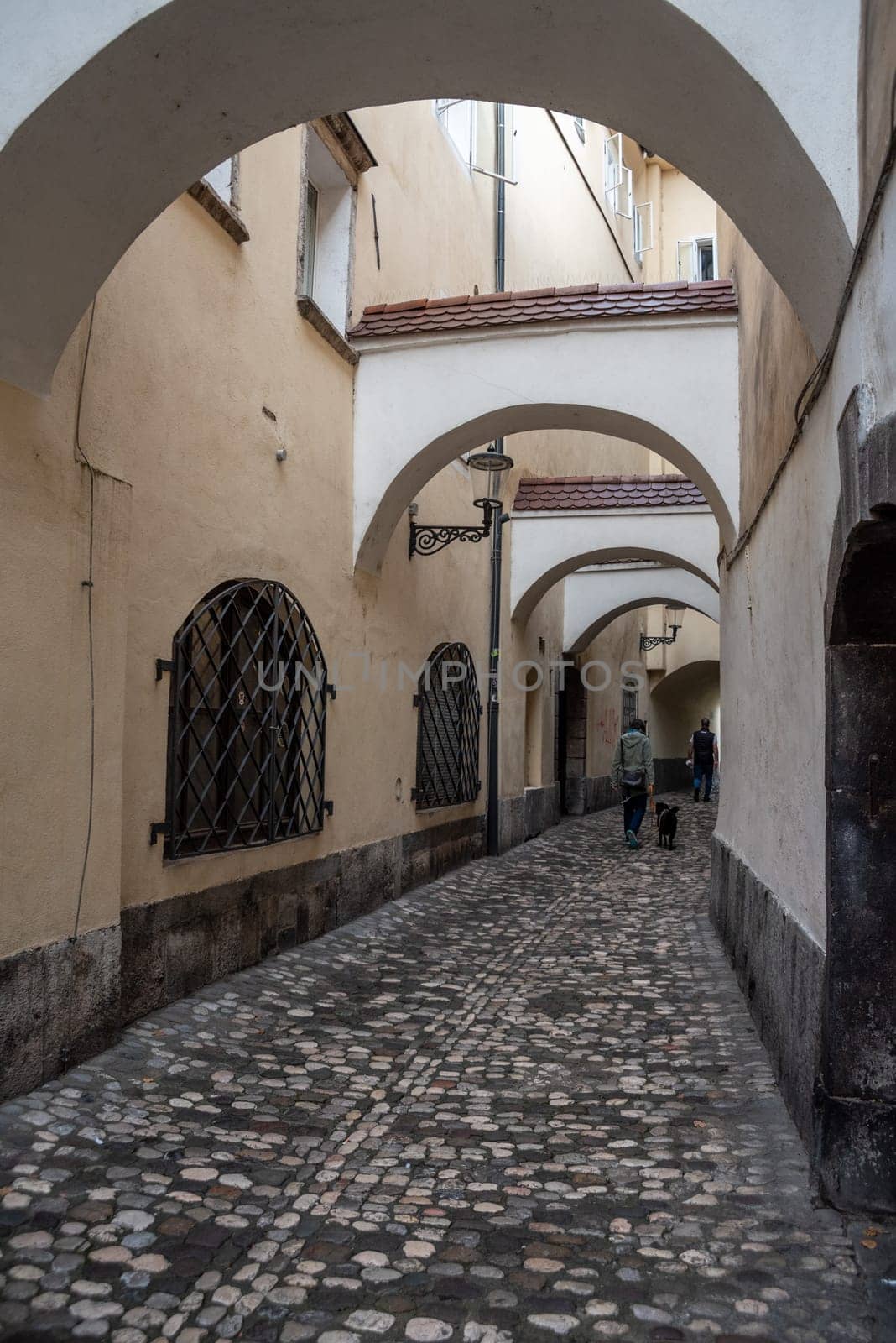 Small alley leading to the fish market in the center of Ljubljana, Slovenia