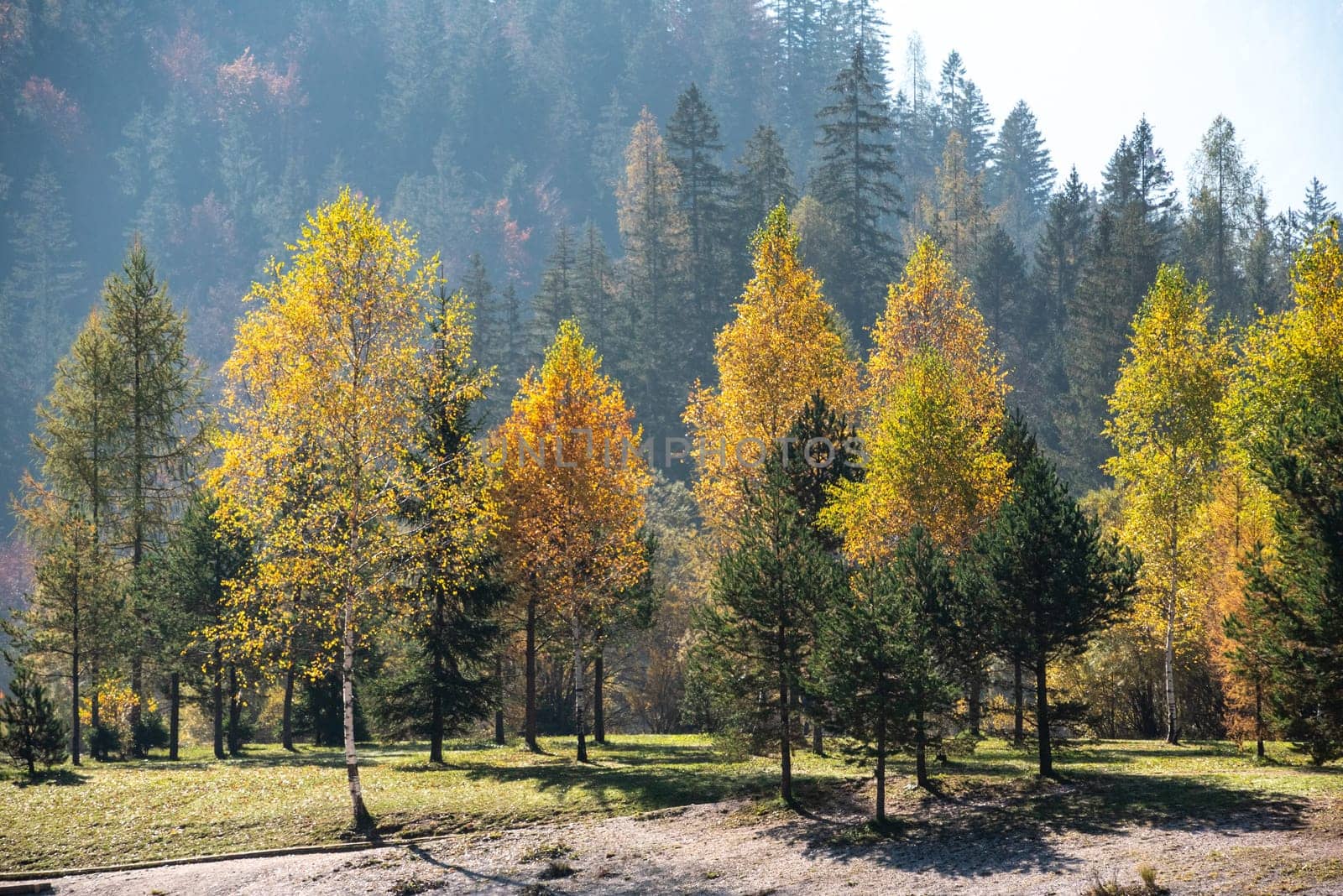 Scenic autumn forest at Crystal Lake in the Julian Alps, Slovenia