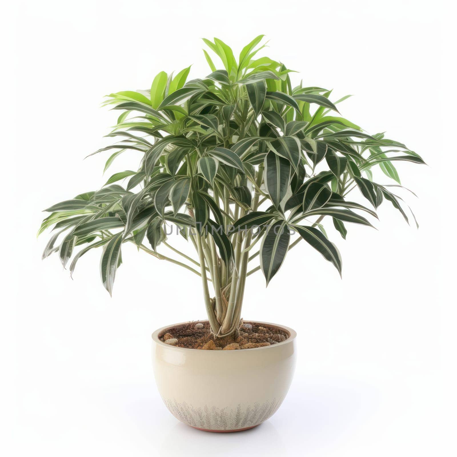 Simplicity and beauty a green plant in a pot against a clean white backdrop. AI Generative.