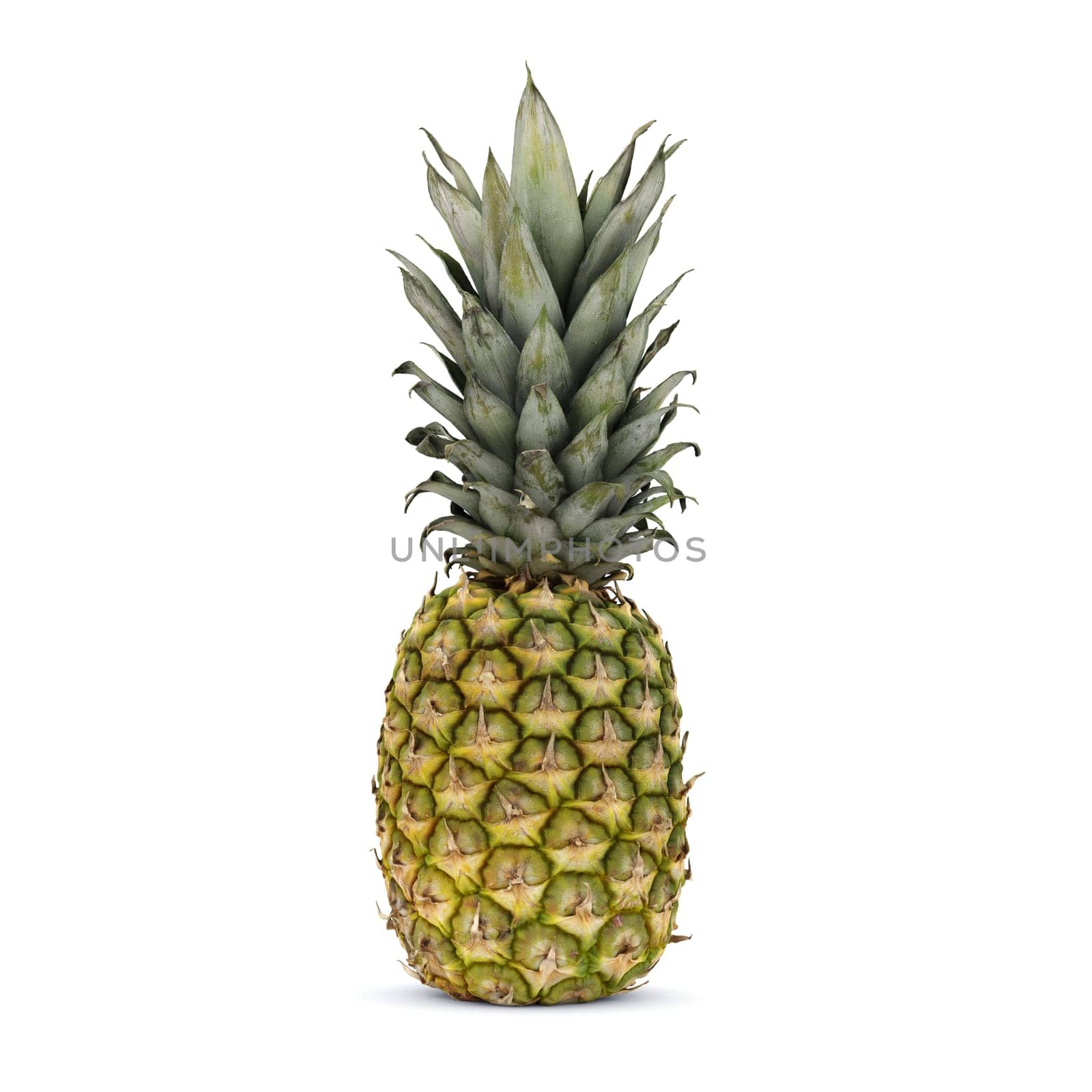 fresh pineapple organic fruit isolated on white background food studio shot tropical dessert sweet natural juicy ananas 3D render illustration