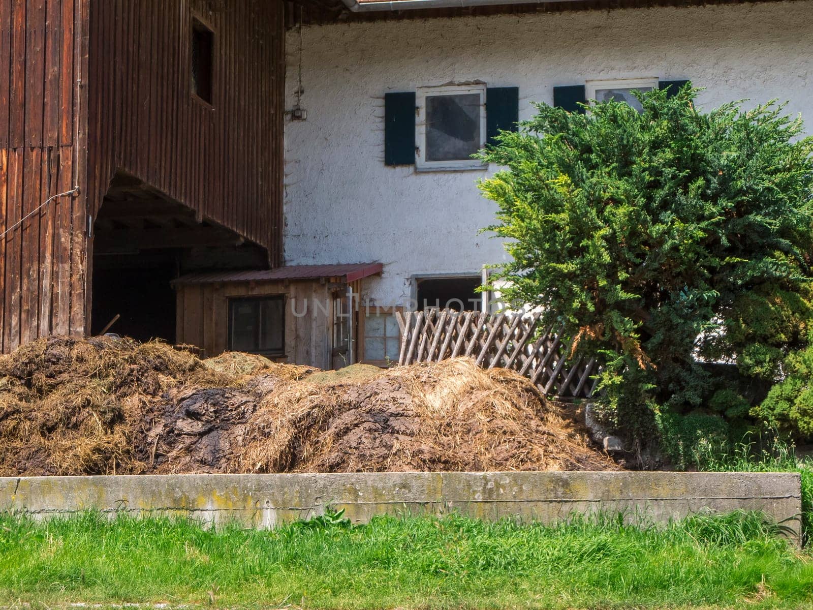 View of a dung heap in front of a barn with a concrete wall, tree and garden fence in summer in Bavaria.