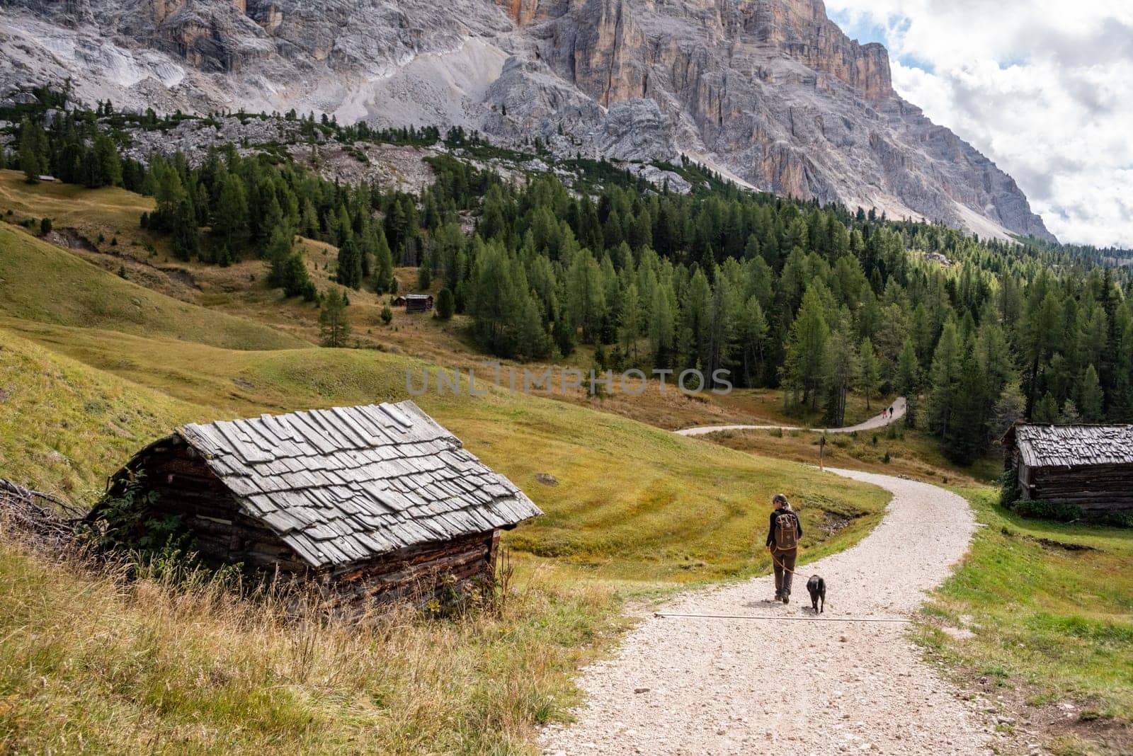 Typical meadow with a hay shed in the Dolomite Alps in the Fanes Sennes Prags Nature Park, South Tirol in Italy