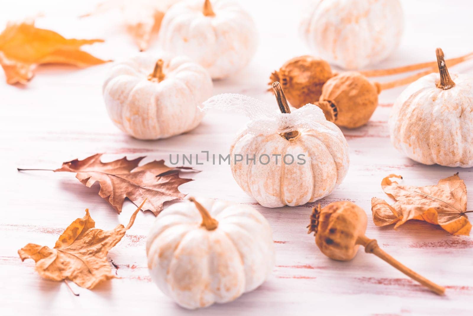 White pumpkings, poppy heads and autumn leaves on wooden background. Thanksgiving and autumn concept.