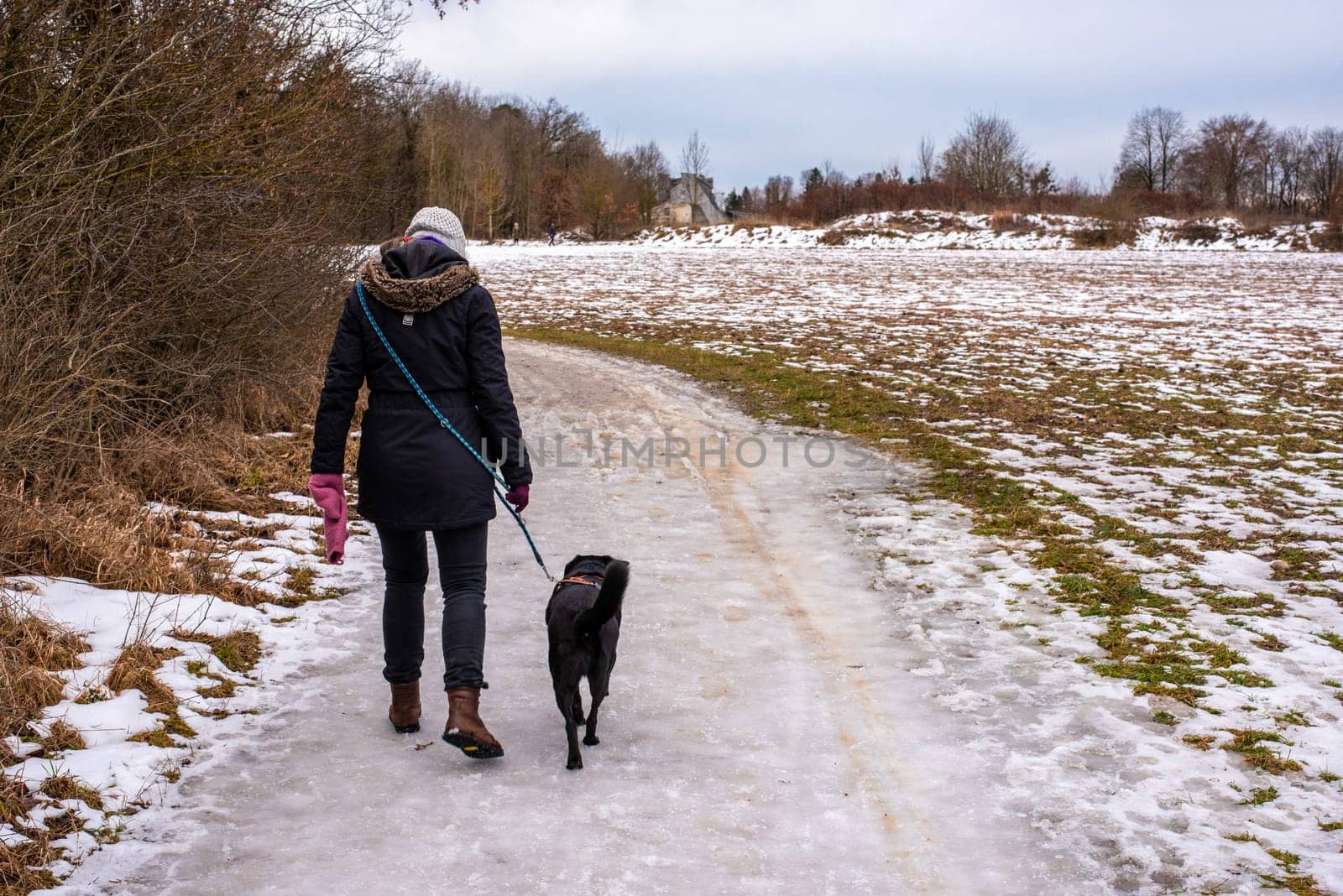 A walk with the dog during a beautiful winter day around Munich