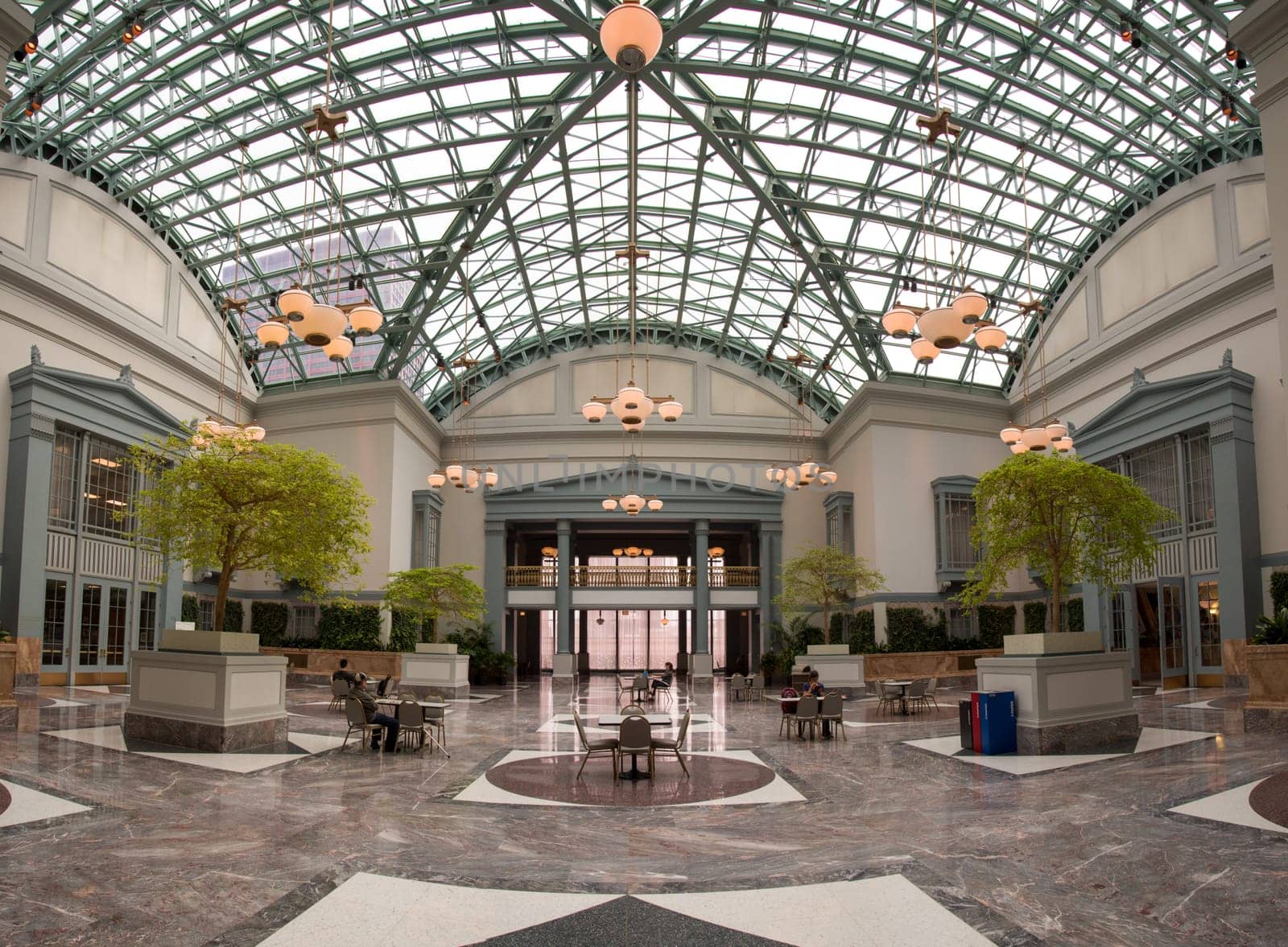 CHICAGO, USA - AUGUST 29, 2019: Iconic Millennium Egg and the Chicago skyline, USAScenic reading room beneath the glass roof of the Harold Washington Public Library in Chicago, USA