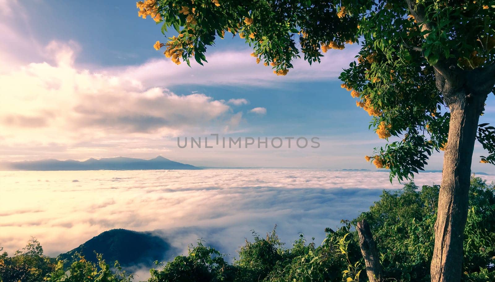 Beautiful of cloud sky colorful sunrise and view mist moving on mountain in twilight nature, Ai Generate, Pastel style