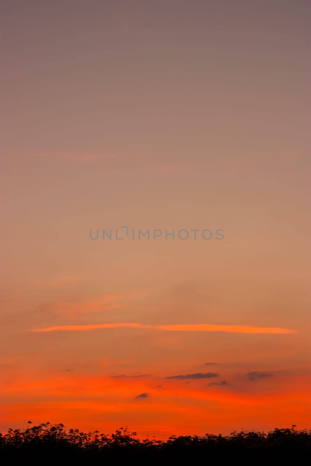 Abstract and pattern of cloud sky Calming coral, Orange, Trend color of the year background, Pattern of colorful cloud and sky sunset or sunrise: Dramatic sunset in twilight, Beautyful of sky