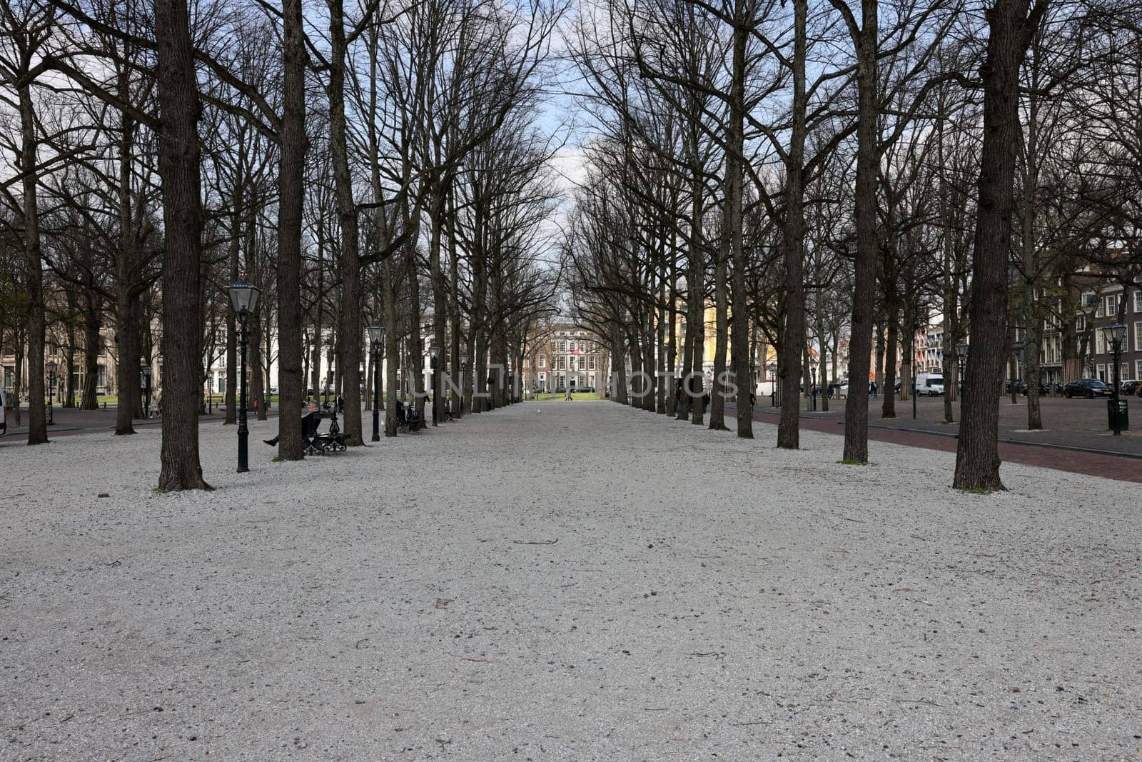 The Hague, Netherlands - April 17, 2023: Walking alley with beautiful trees in the park at Lange Voorhout in The Hague