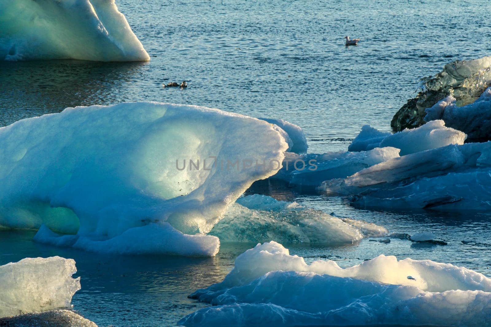 Ice floes in the Jokulsarlon glacial lake in the summer evening sun, Iceland