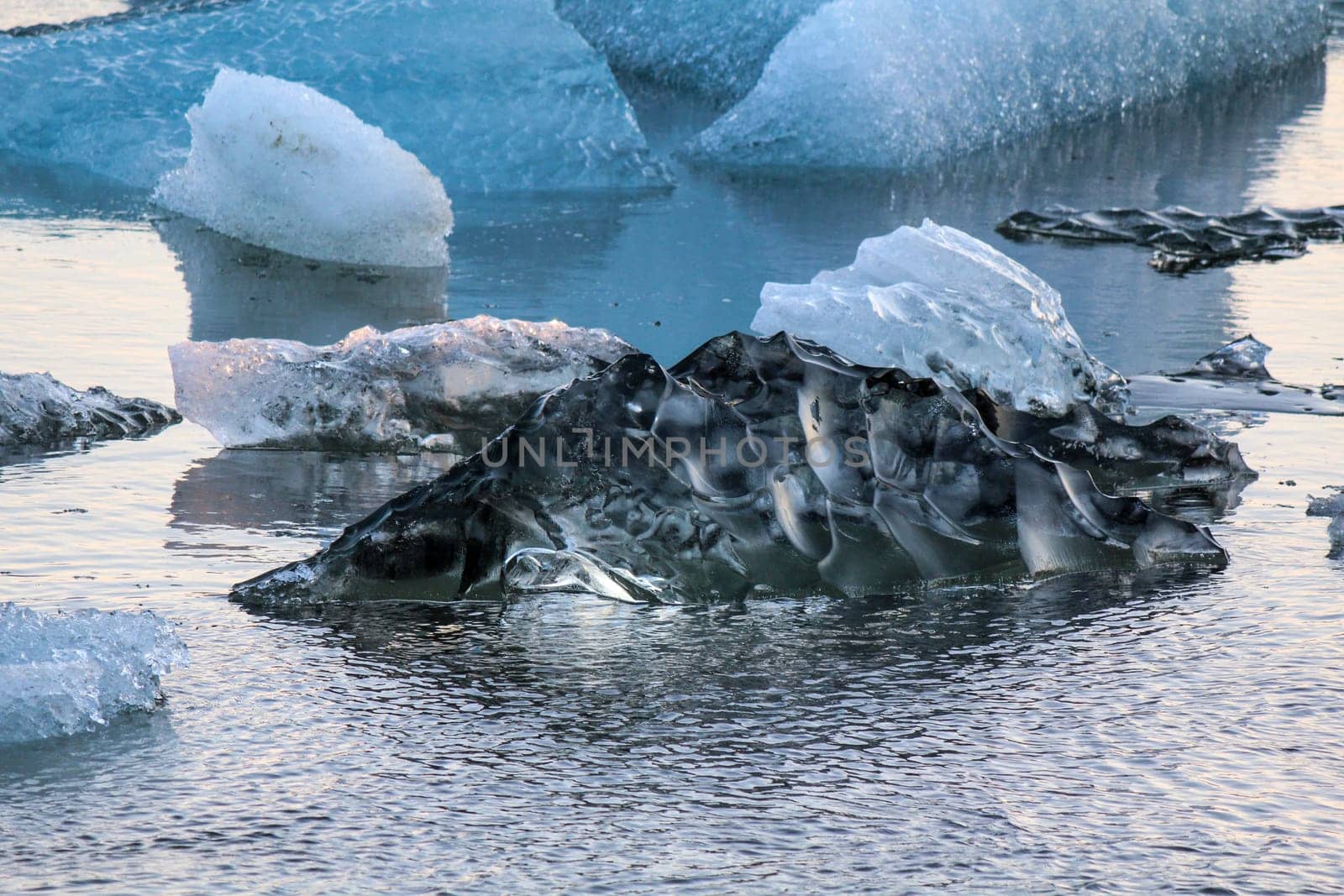 Ice pure like glass swimming in the Jokulsarlon glacial lake, Iceland