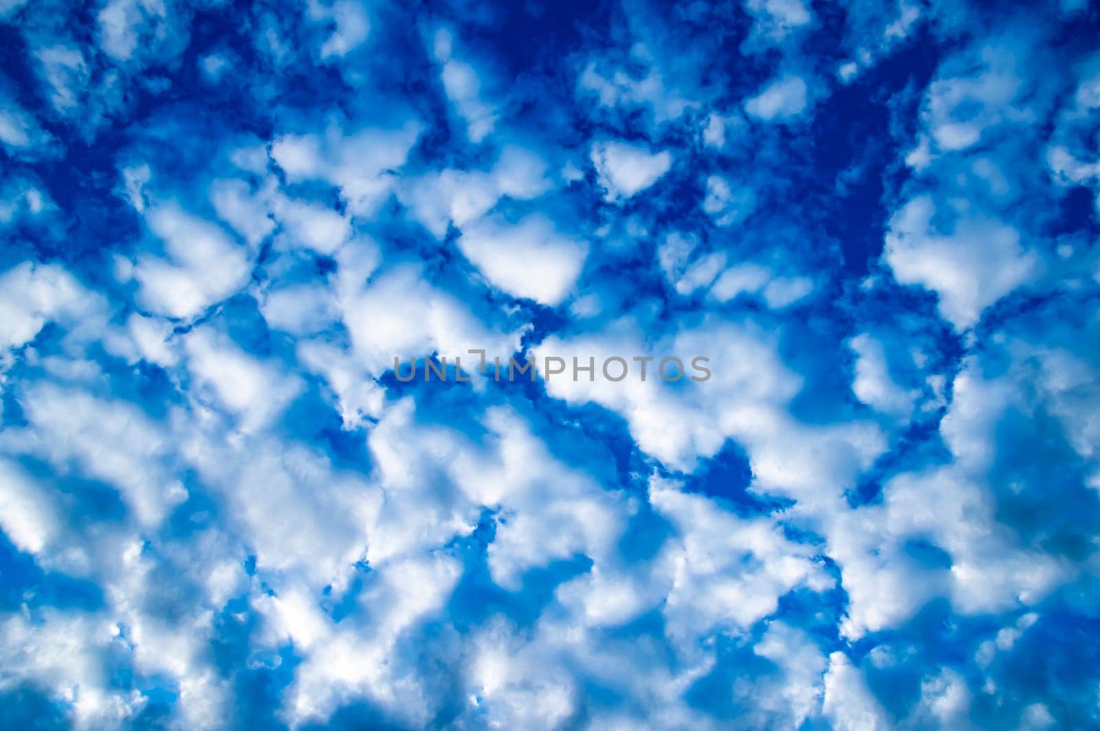 White cumulus clouds against the blue sky. White clouds. Blue sky. Fluffy cloud. Clear sunny day. Weather. Weather forecast. Summer season. Beauty in nature. Outdoors.