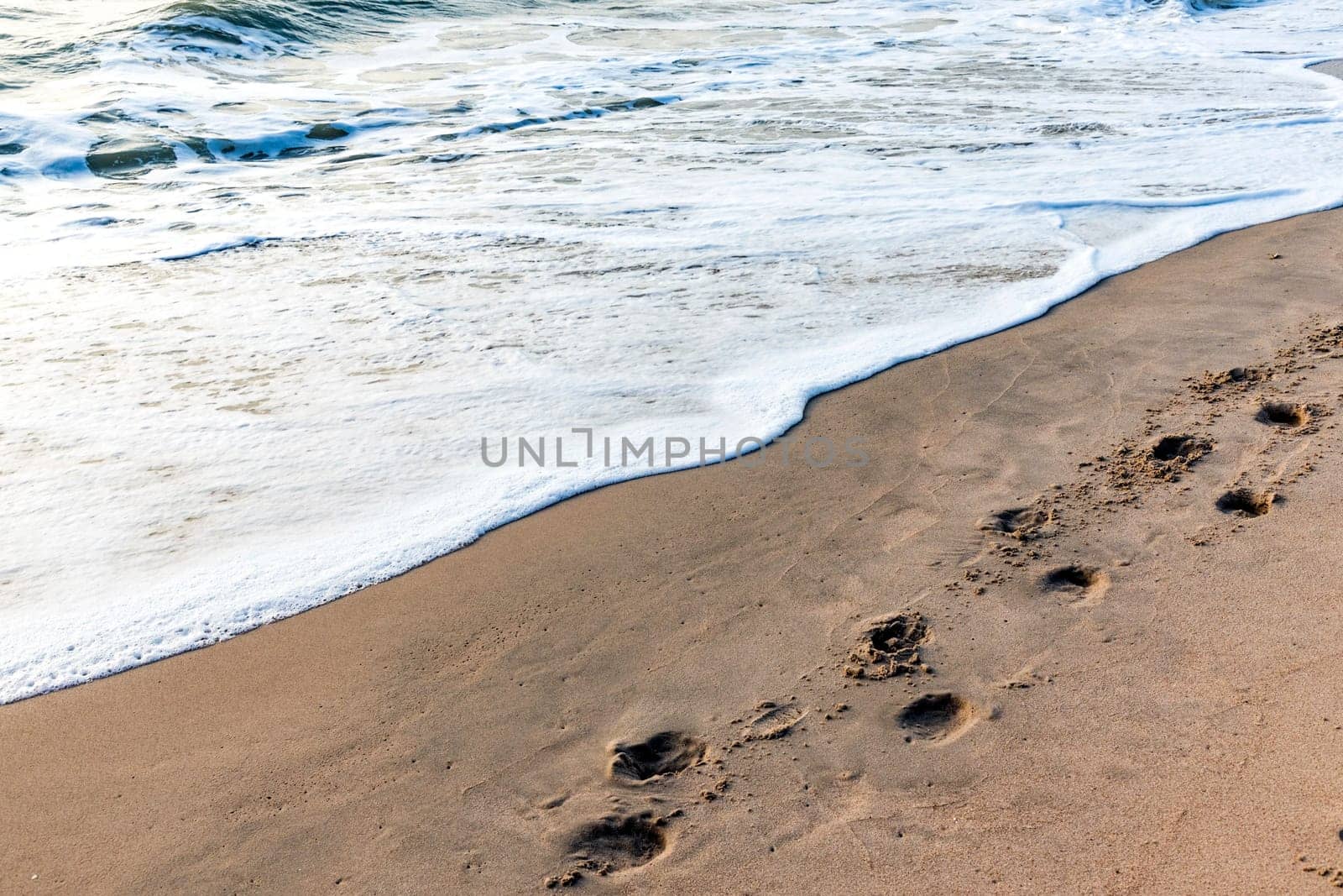 The horse footprints on the sand are a beautiful and powerful sight. It can convey a variety of meanings, including happiness, suffering, love, attachment, and the meaning of life.