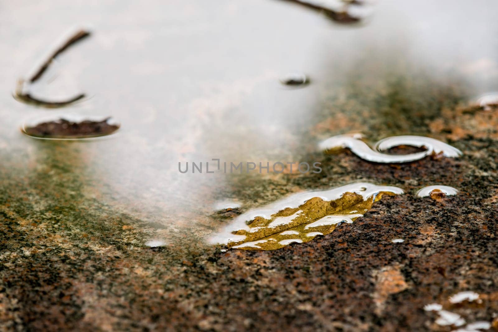 autumnal scene with wet desk with leaf and bright reflexions