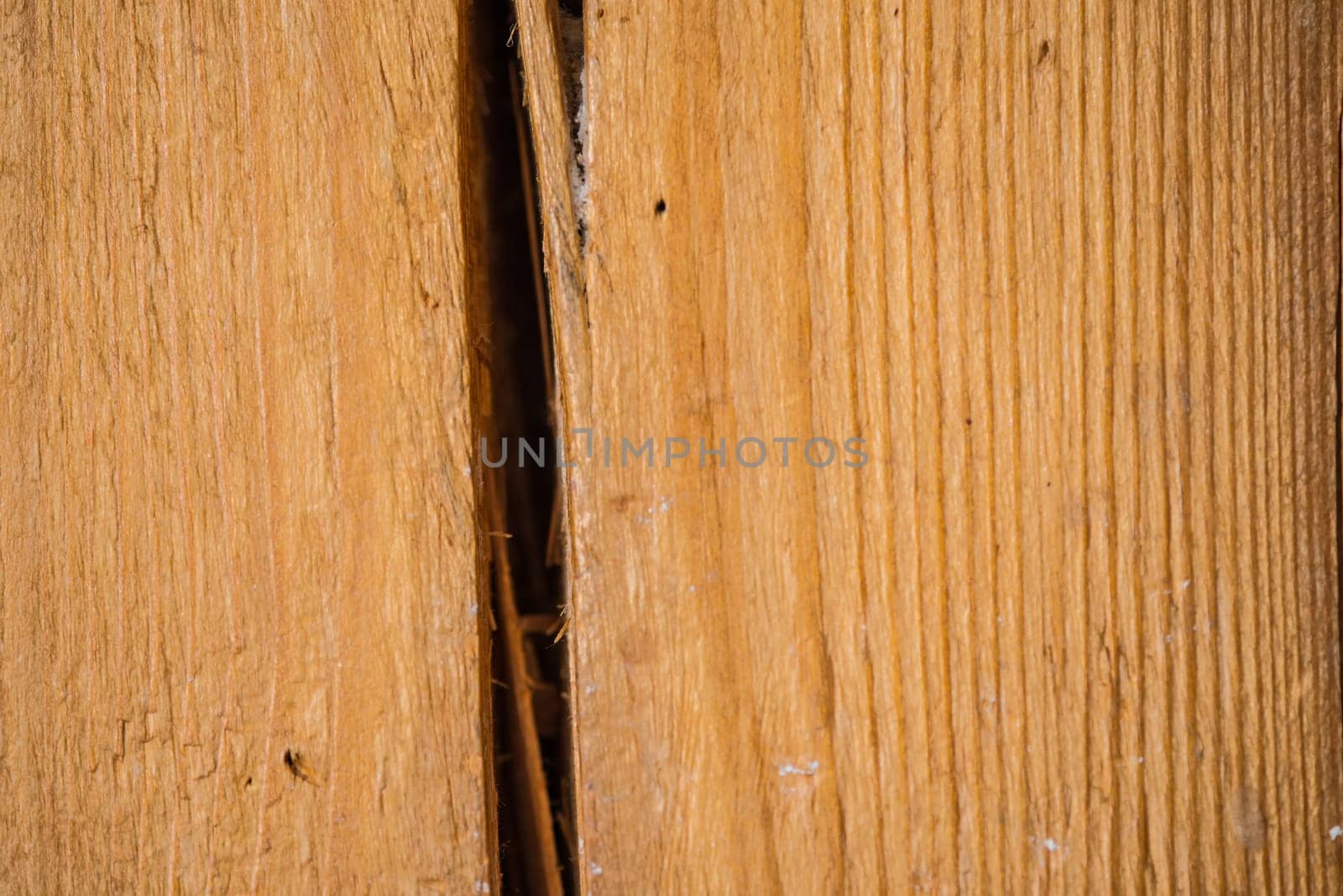 old plank with cracks and texture