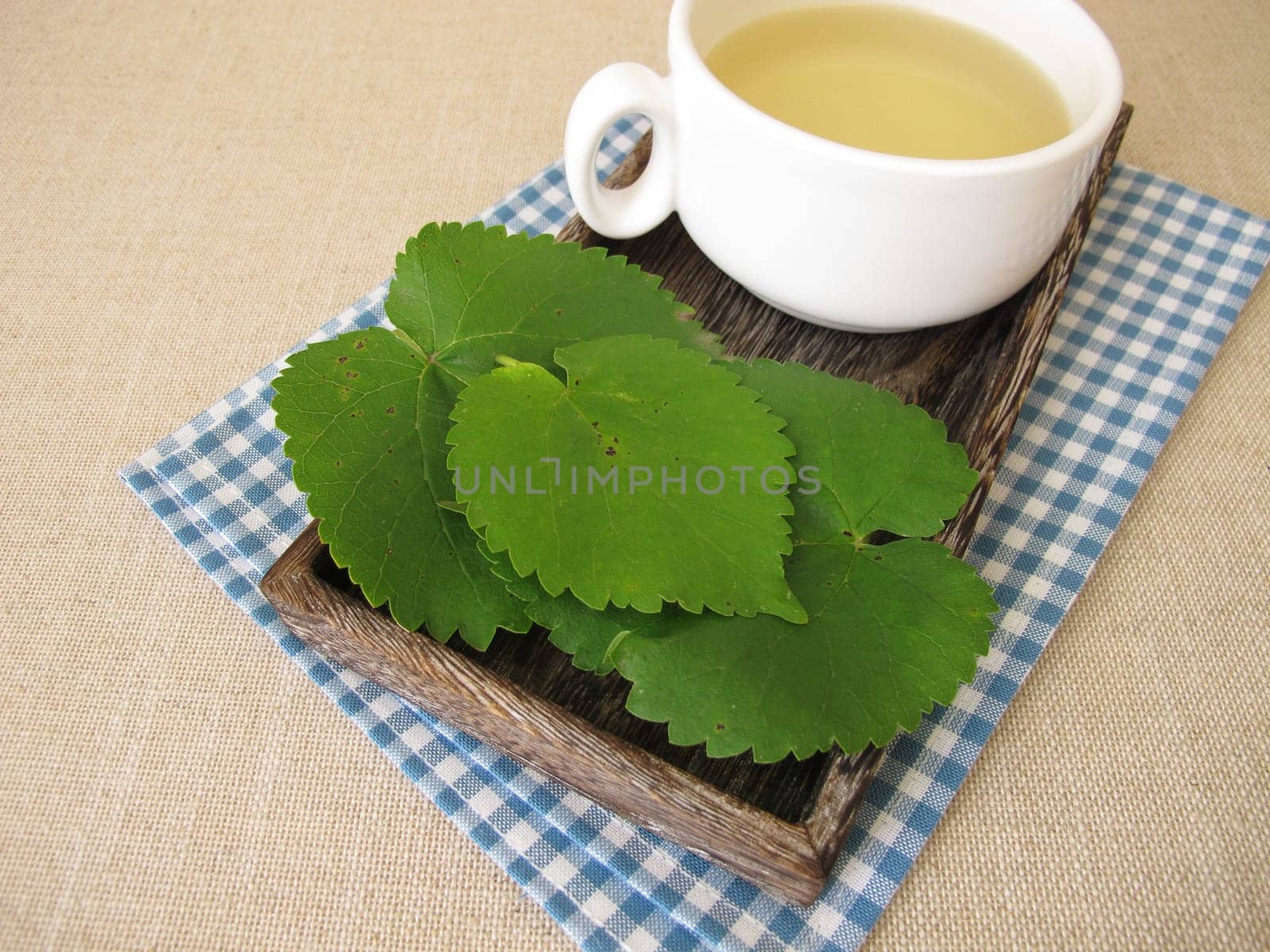 Mulberry leaf tea: herbal tea from white mulberry leaves