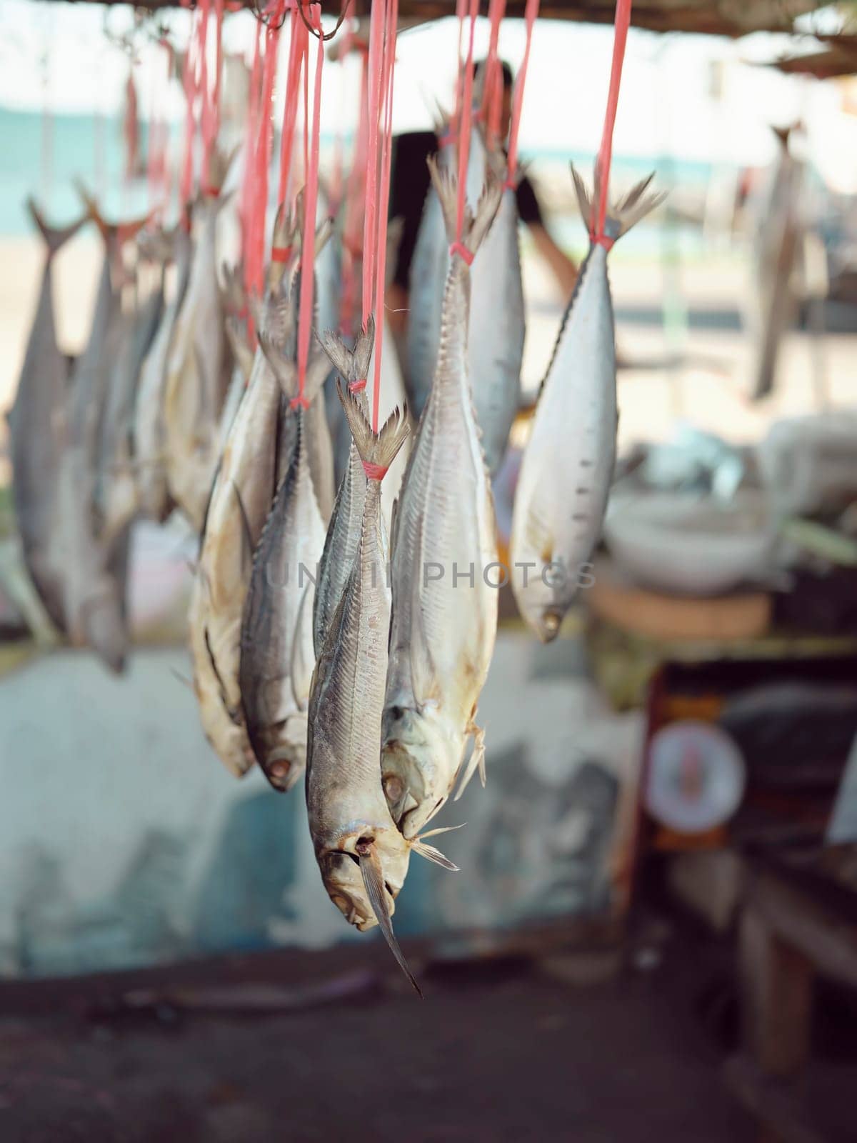 Salted fish hanging on market at Rayong, Thailand