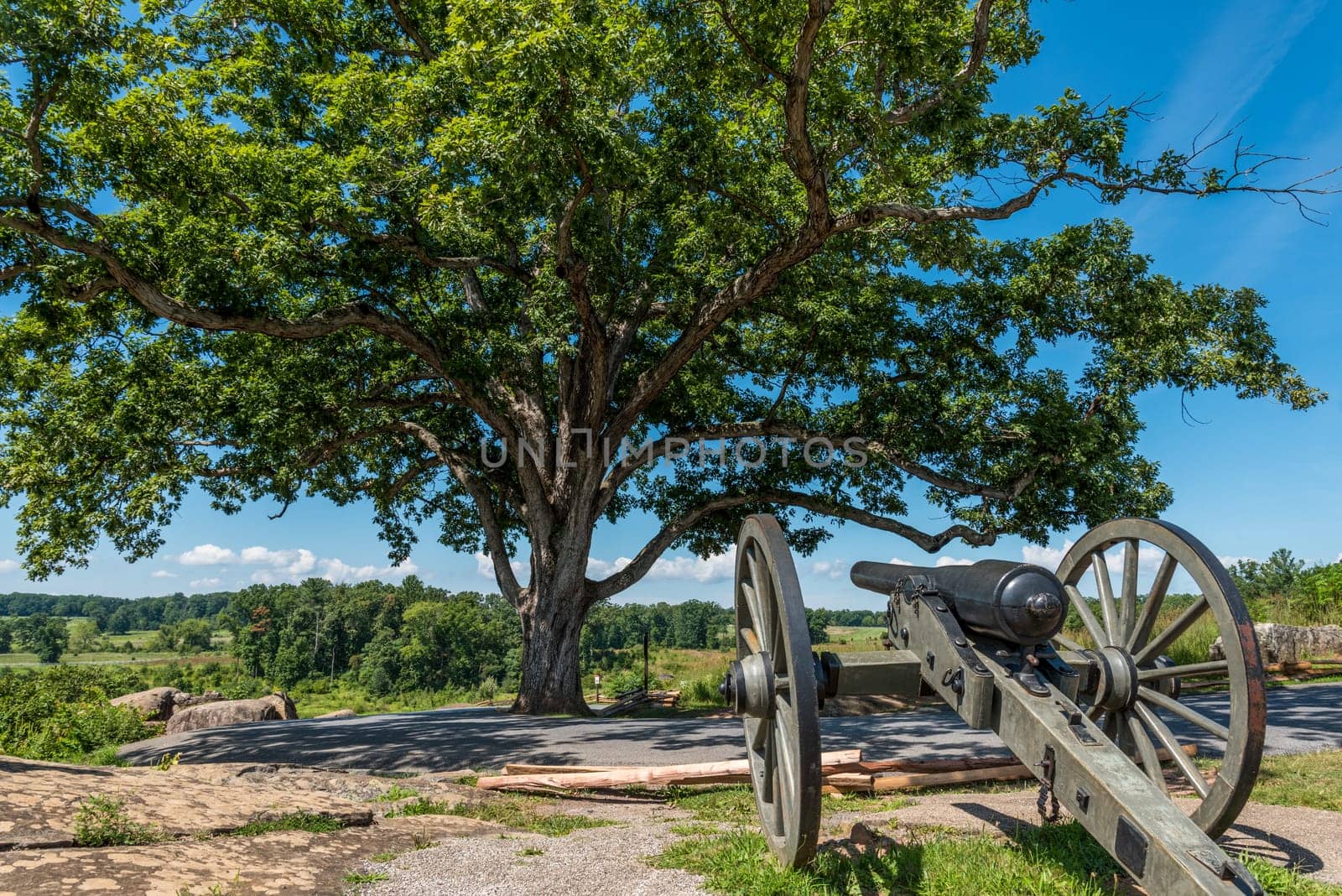 Canon beneath an old beautiful tree in Gettysburg, USA