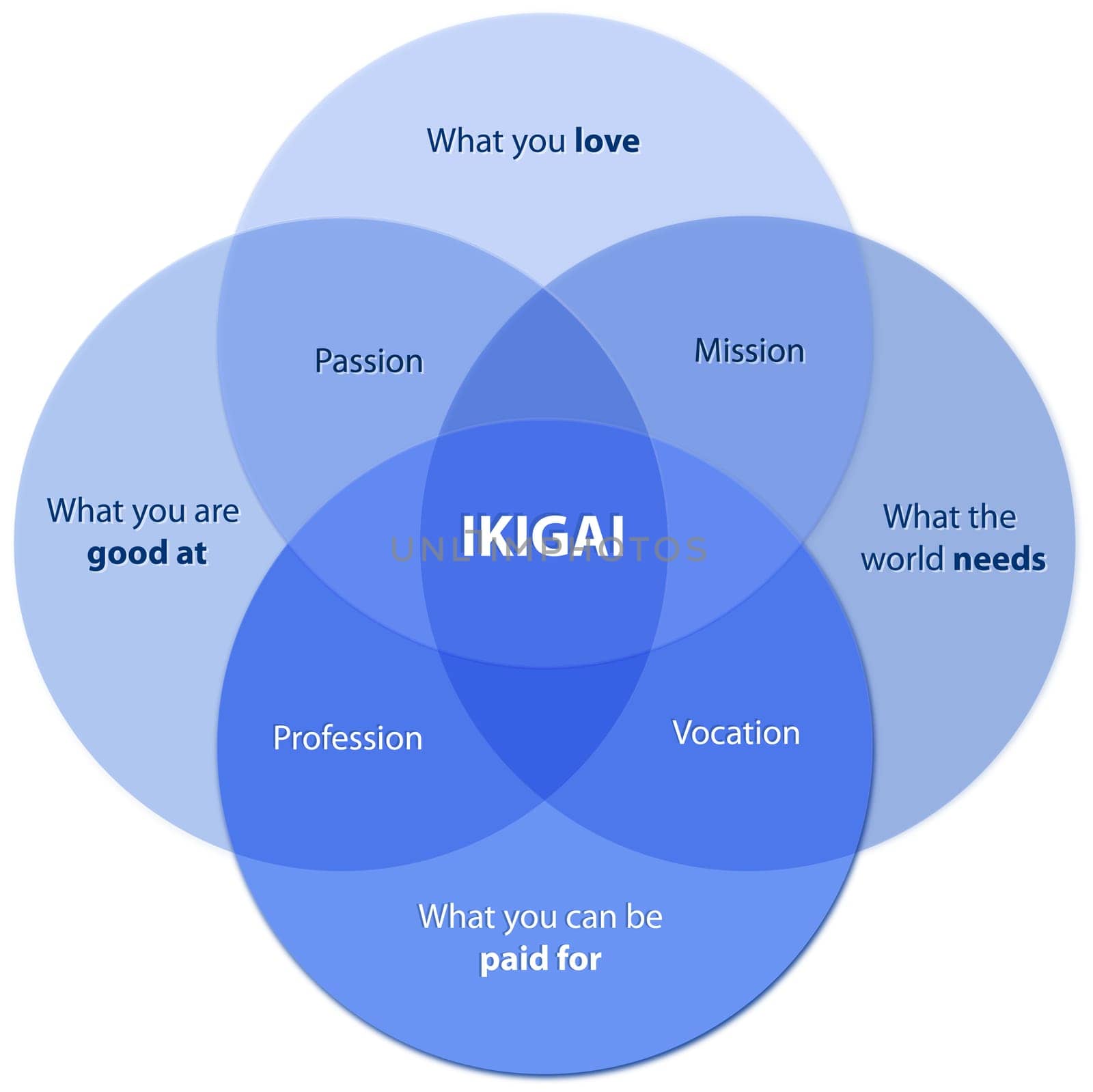 Blue color Ikigai Diagram of the Secret of Bliss Find your Ikigai on a desk, 2d graphic