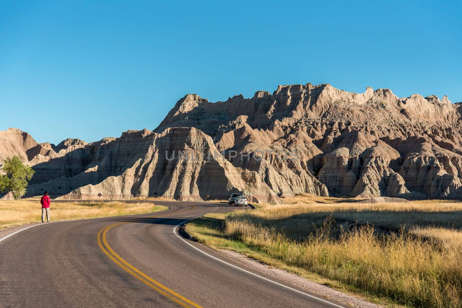 Main road leading through the Badlands National Park, USA
