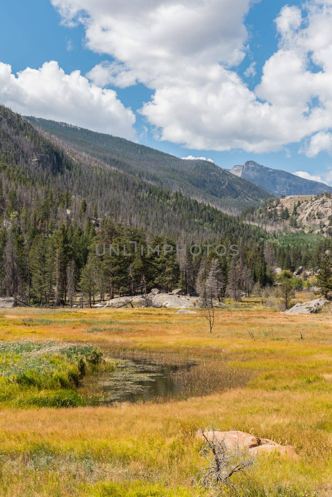 Great landscape in Rocky Mountain National Park, USA
