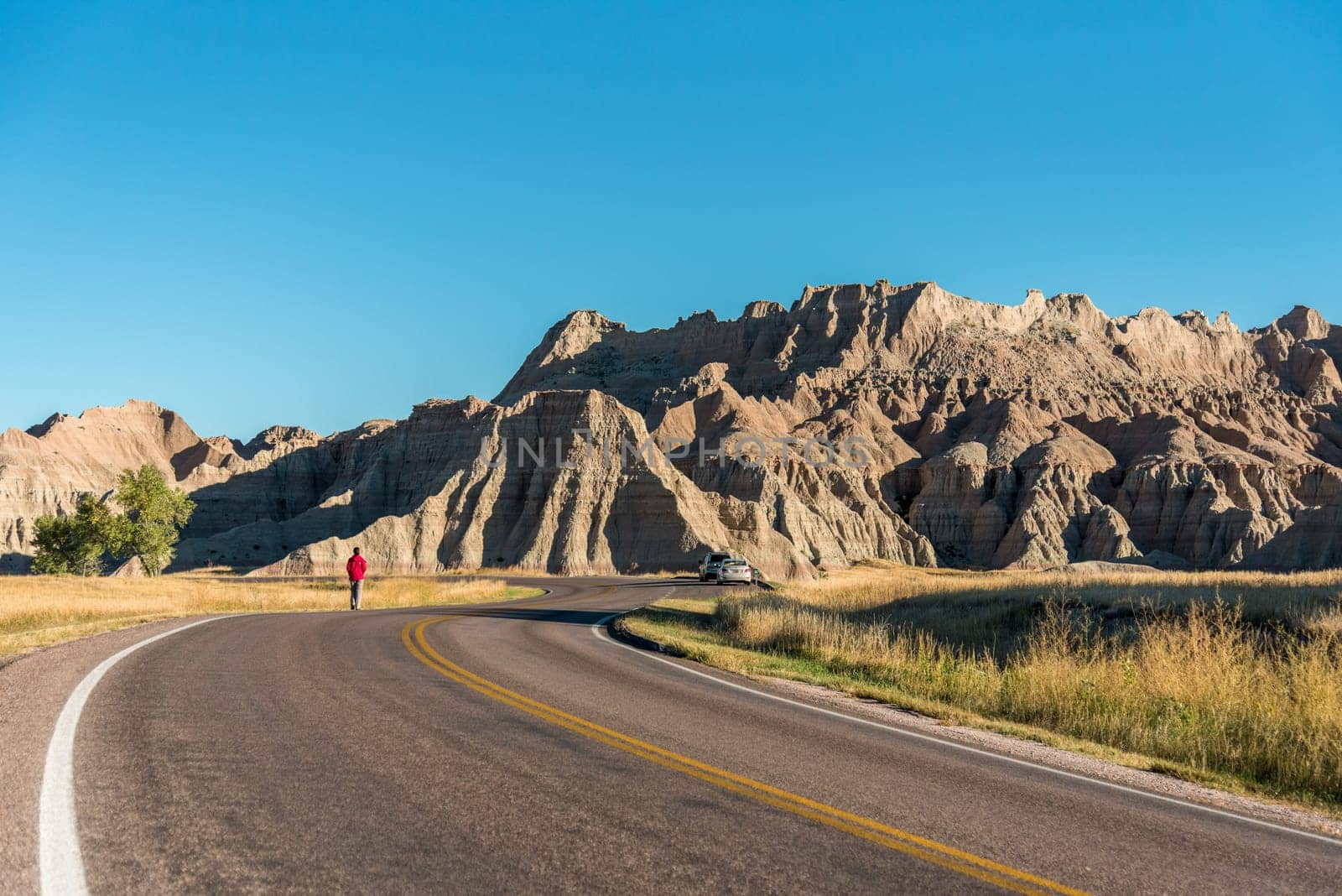 Main road leading through the Badlands National Park, USA