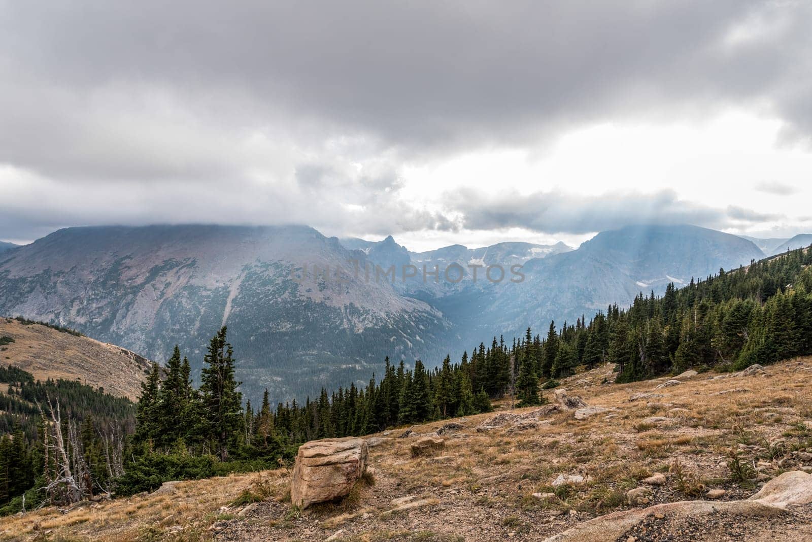 Great view up high in the mountains of Rocky Mountain NP, USA