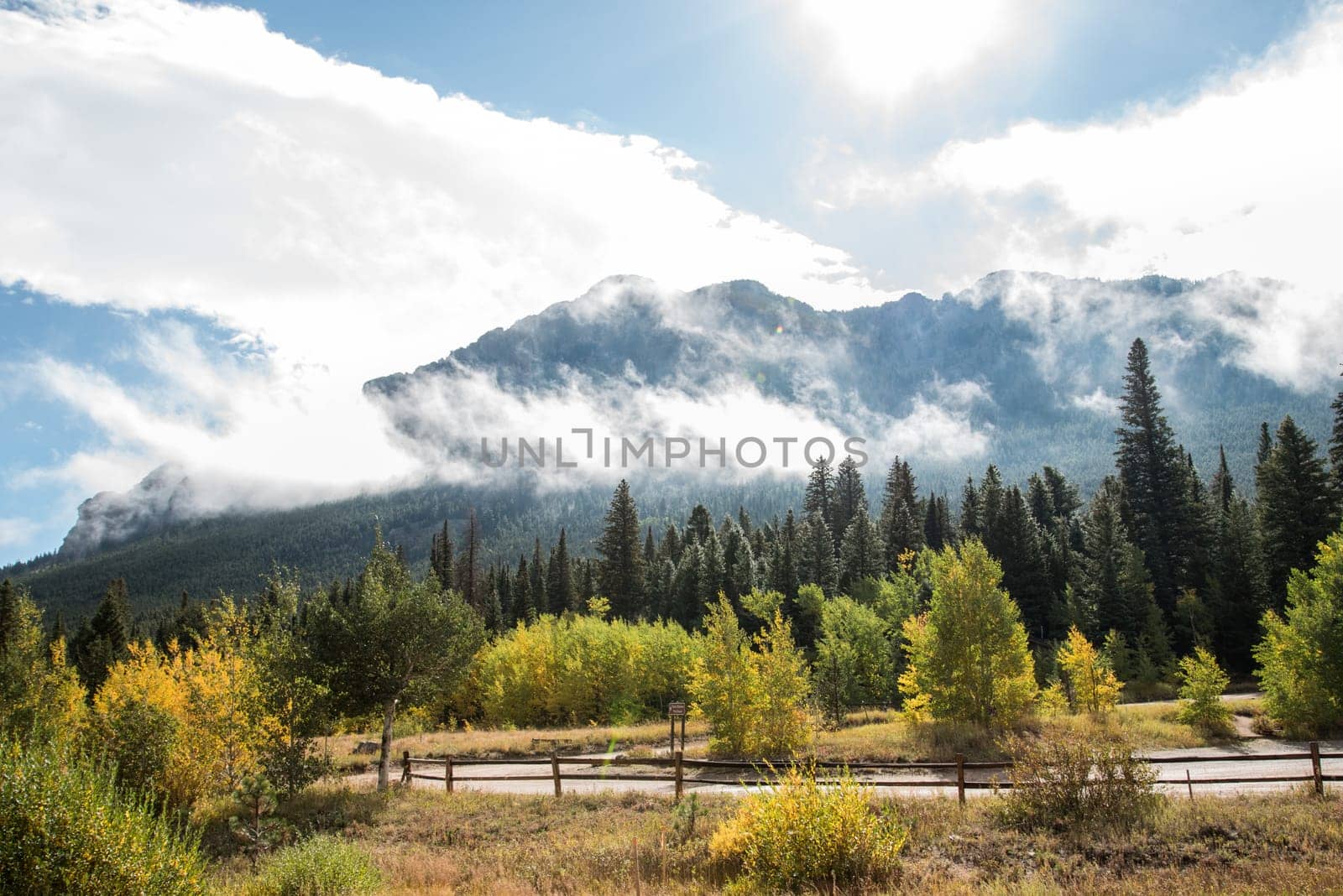 Clouds hanging over a forest in the Rocky Mountains NP, USA