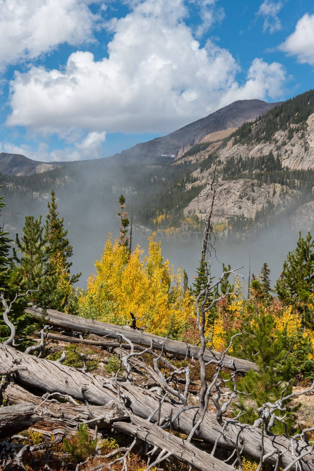 Beautiful autumn forest in Rocky Mountain National Park, USA
