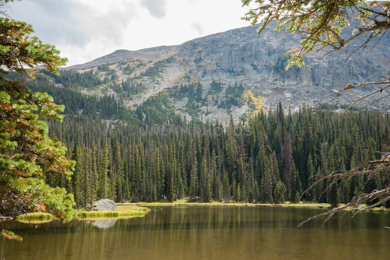 Calm lake Spruce in the middle of the Rocky Mountains NP, USA