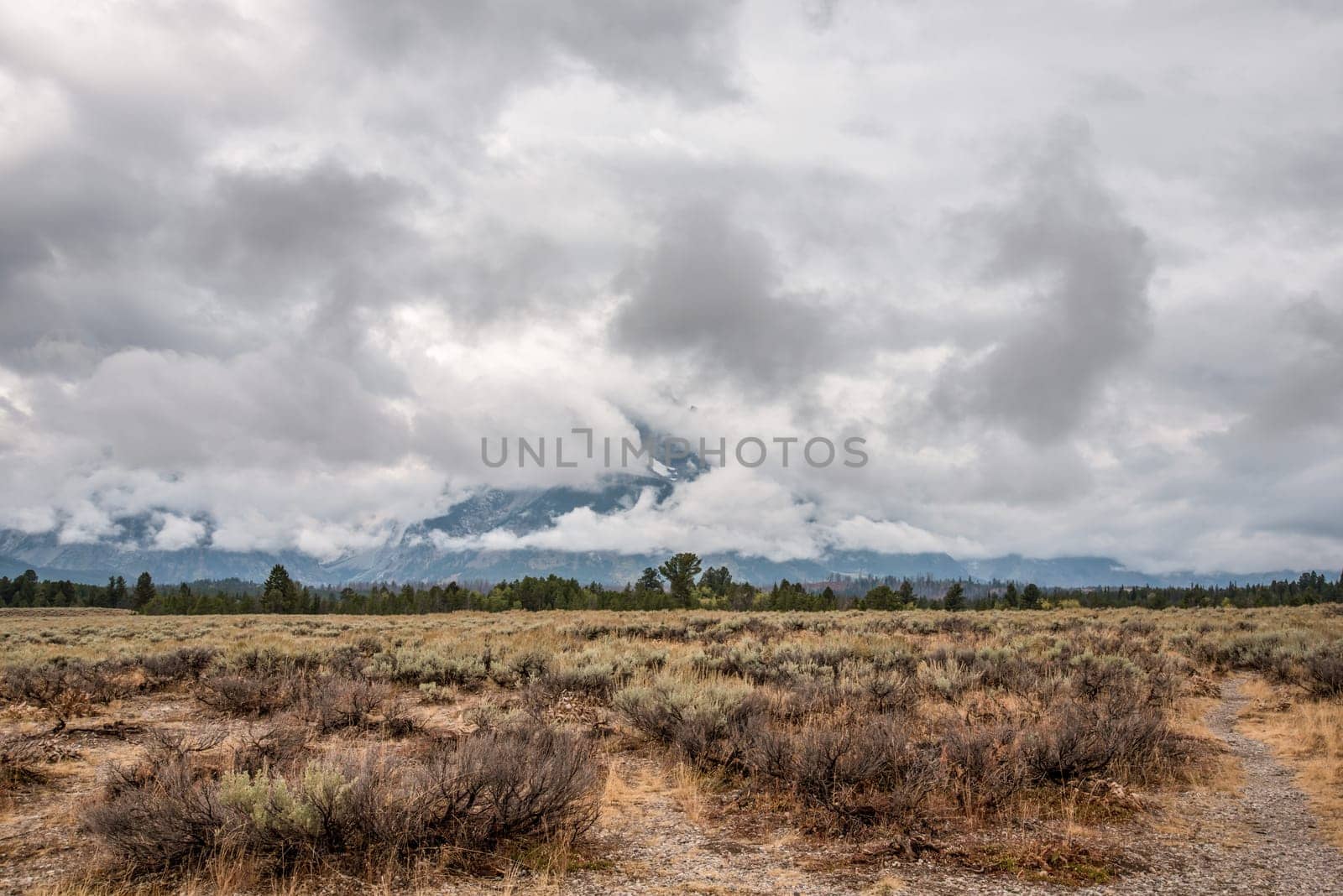 Panoramic view of the Grand Teton mountain chain in Wyoming, USA