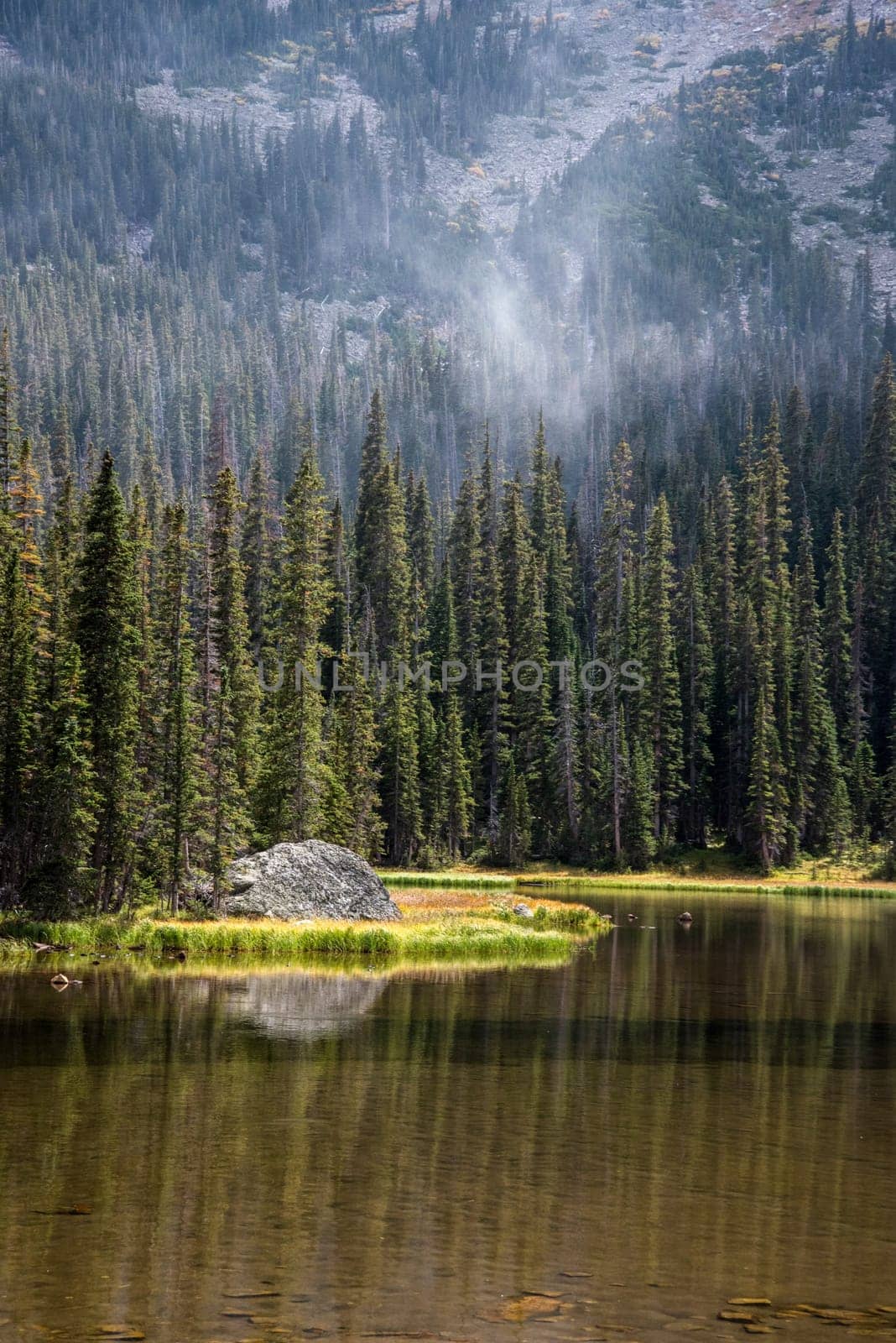 Calm lake Spruce in the middle of the Rocky Mountains NP, USA