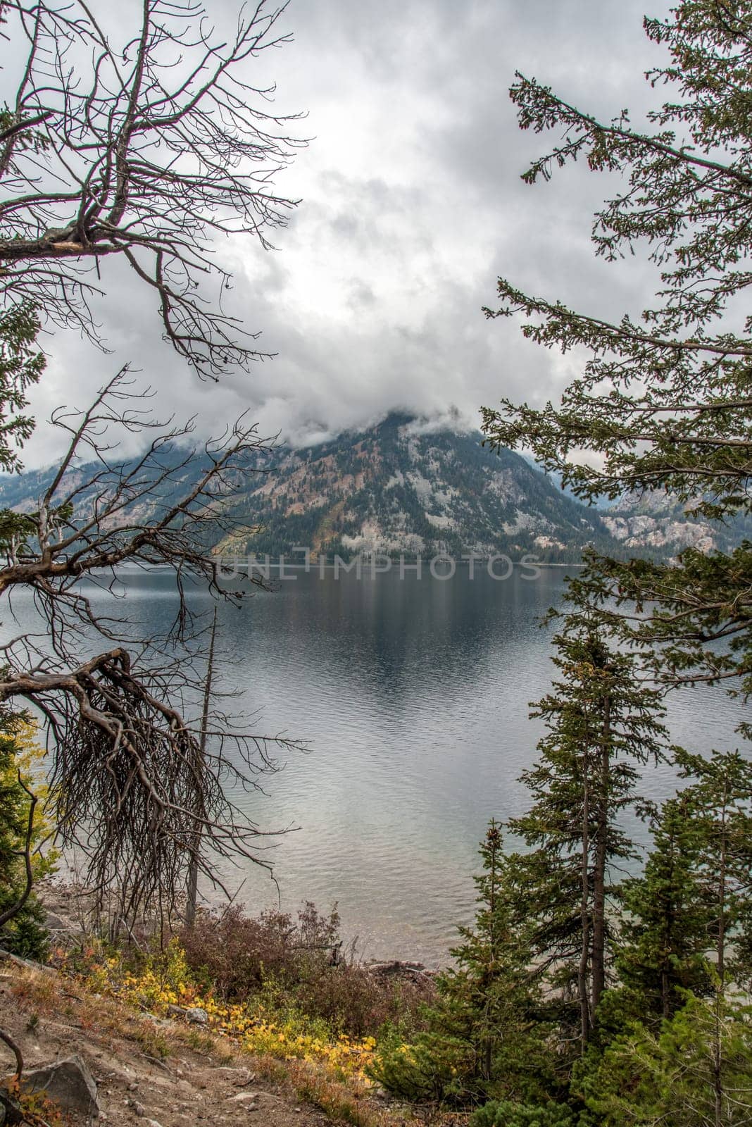 Panoramic view of the Grand Teton mountain chain and a lake in Wyoming, USA