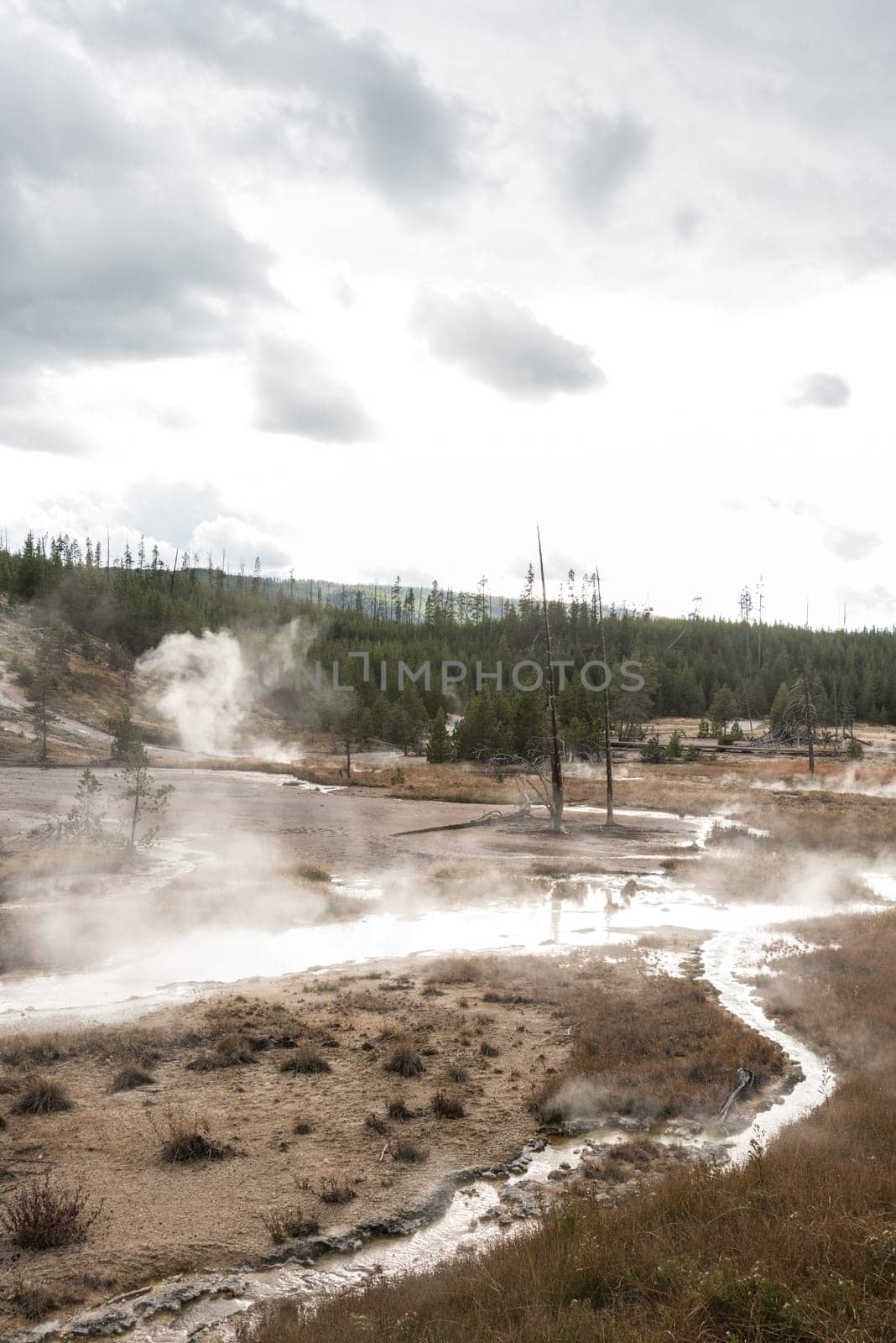Steaming Mud Pod Area in famous Yellowstone National Park, USA