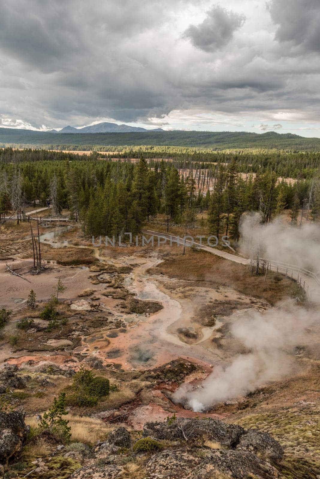 Steaming Mud Pod Area in famous Yellowstone National Park, USA