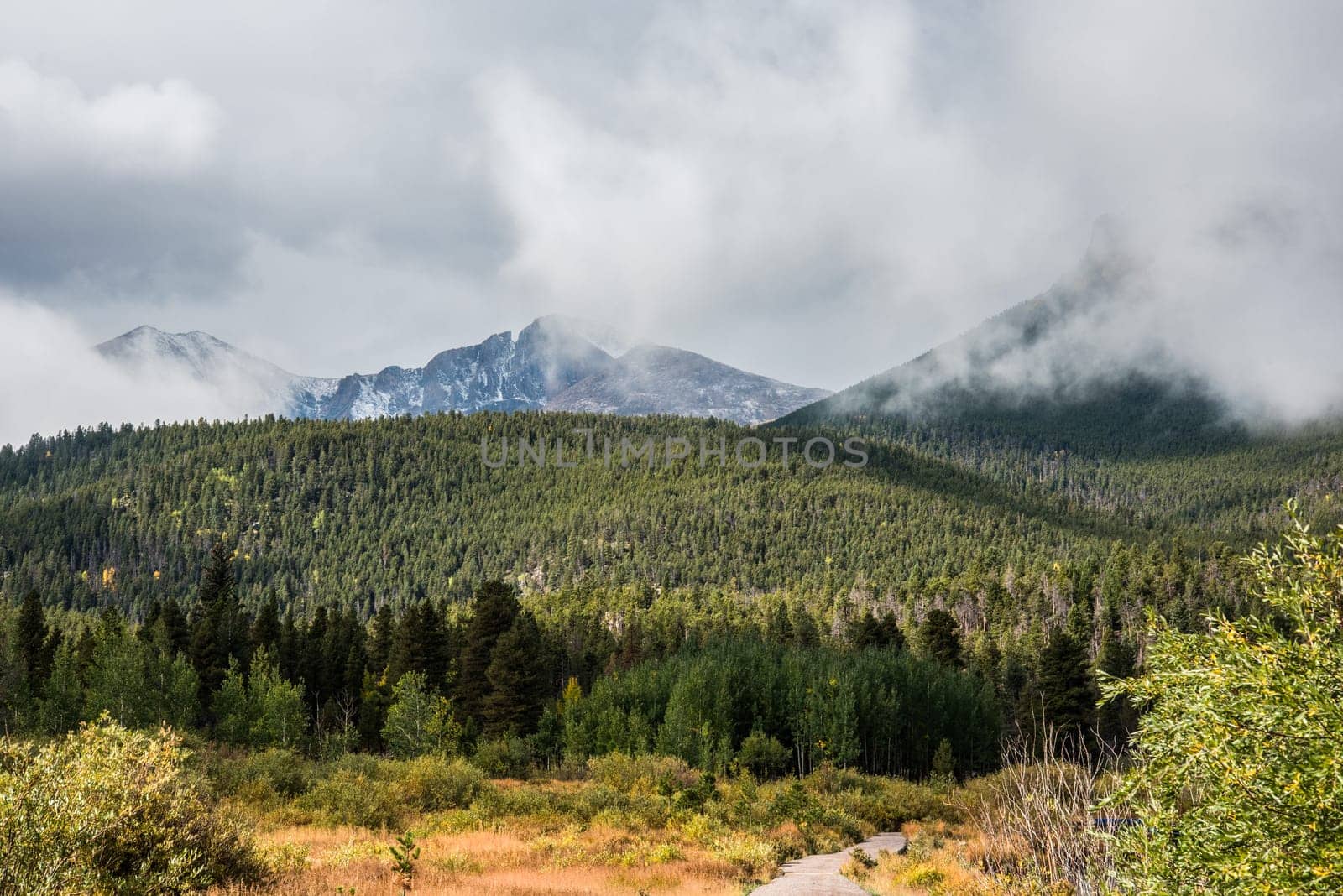 Clouds hanging over a forest in the Rocky Mountains NP, USA