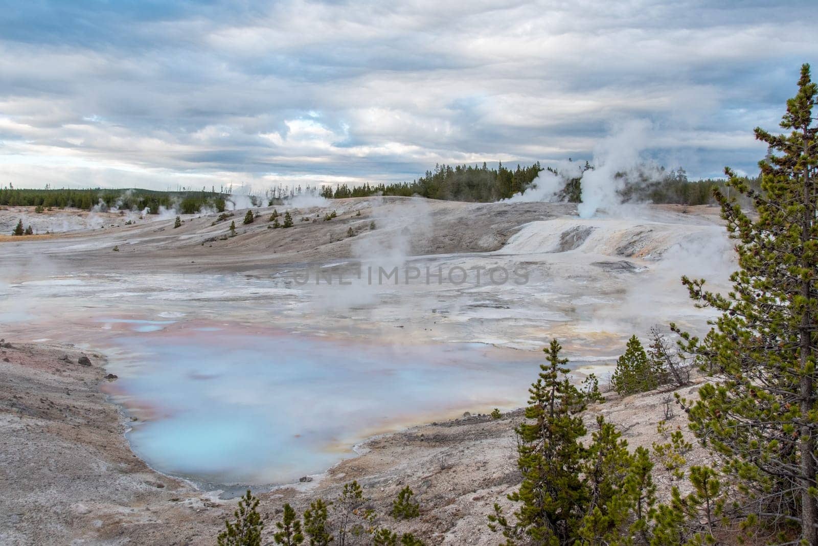 Steaming Mud Pod Area in famous Yellowstone National Park, USA