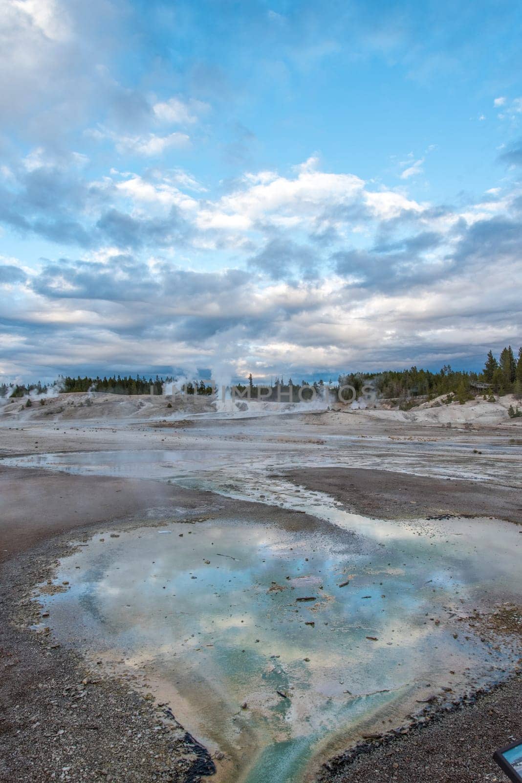 Steaming Mud Pod Area in famous Yellowstone National Park, USA