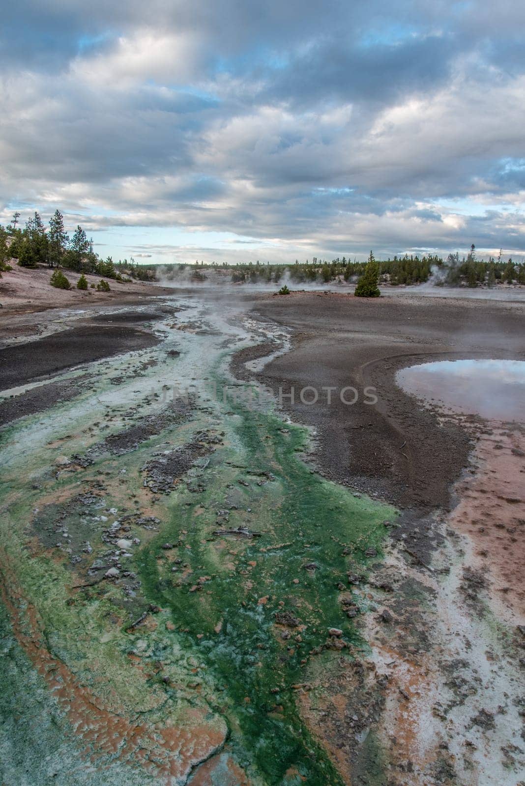 Steaming Mud Pod Area in famous Yellowstone National Park, USA