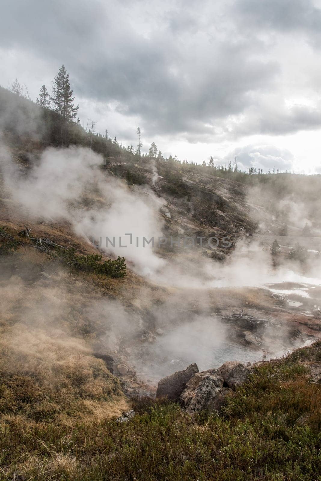 Steaming Mud Pod Area in famous Yellowstone National Park, USA