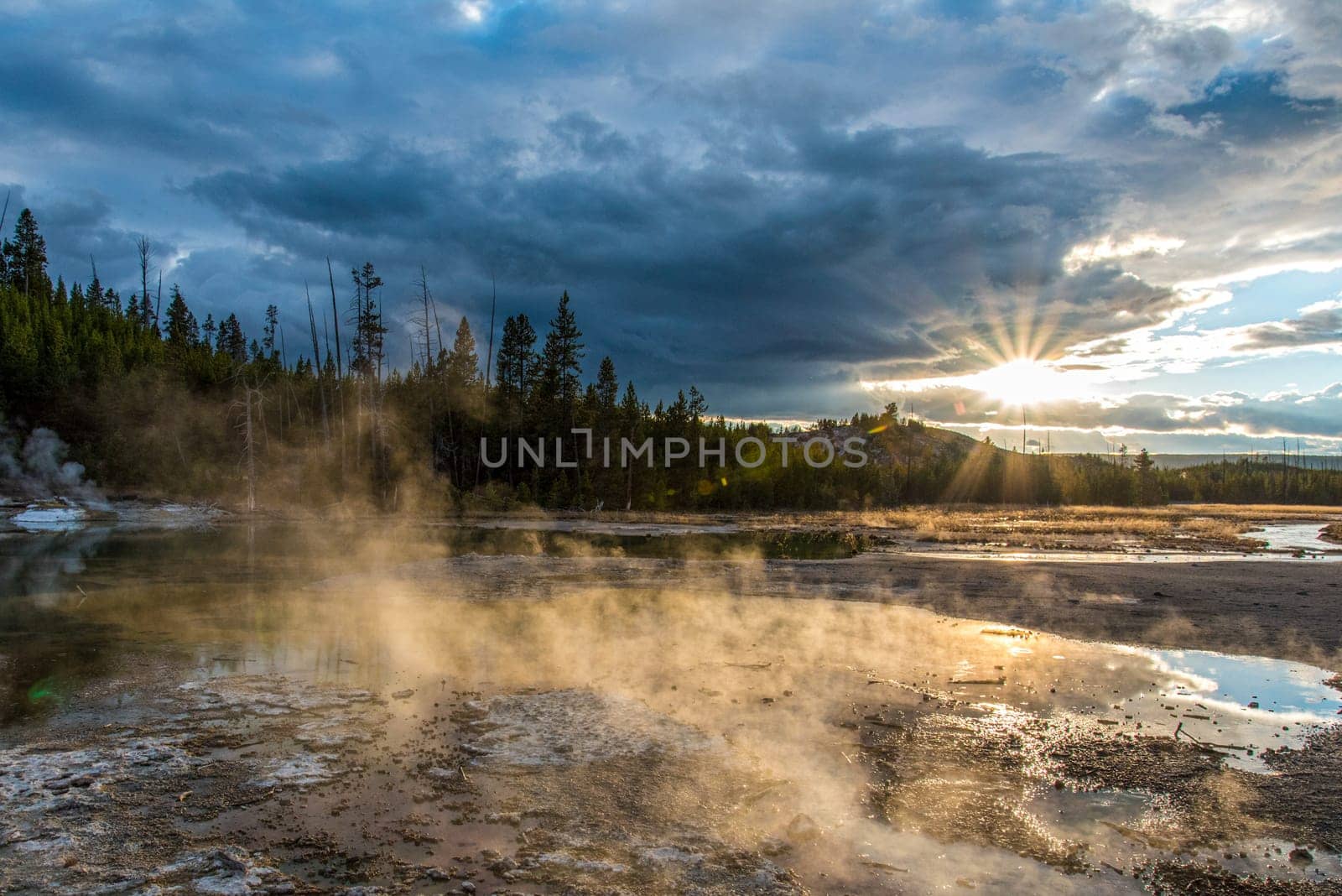 Steaming Mud Pod Area in famous Yellowstone National Park, USA