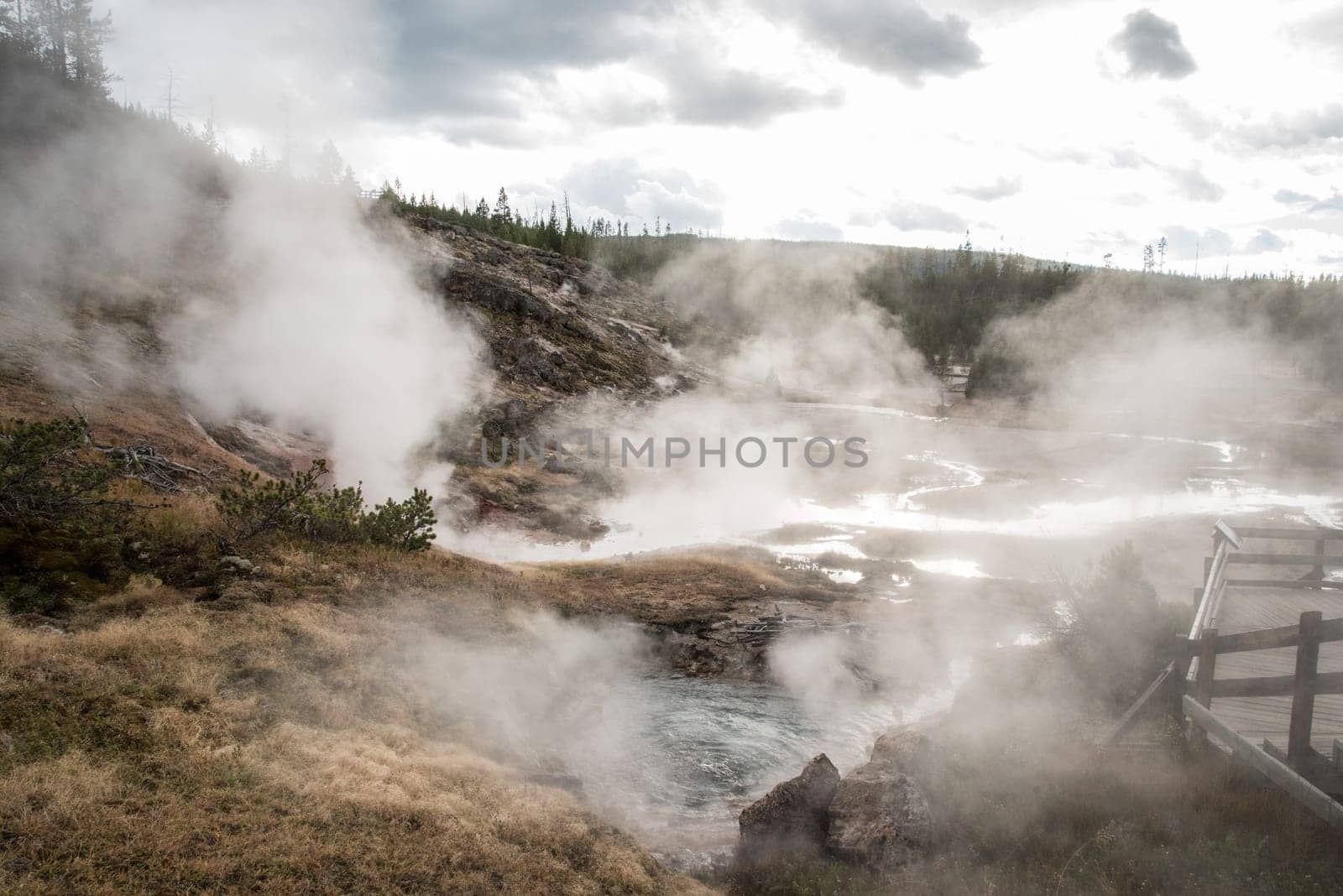 Steaming Mud Pod Area in famous Yellowstone National Park, USA